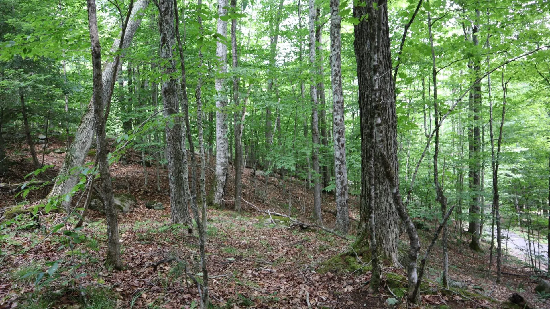 Property at 0 Glen Athol Road, Thurman, NY 12885 8