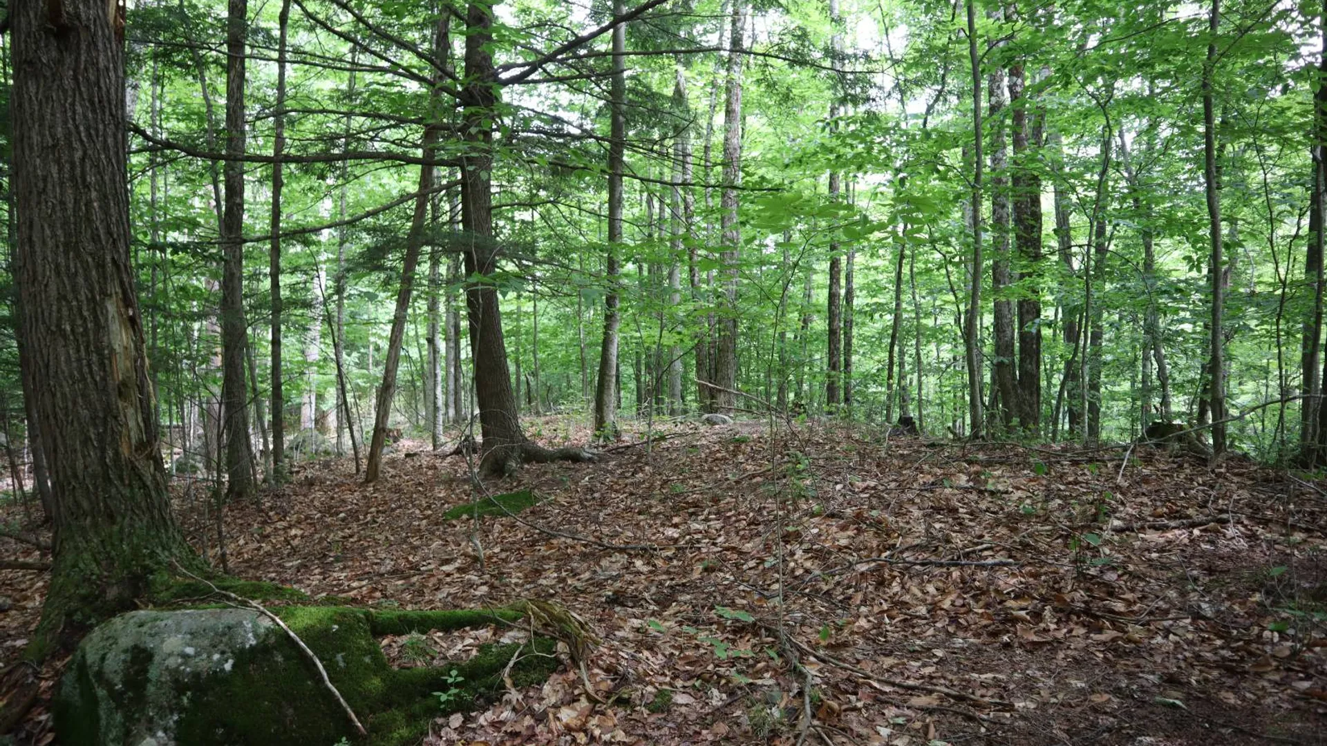 Property at 0 Glen Athol Road, Thurman, NY 12885 10