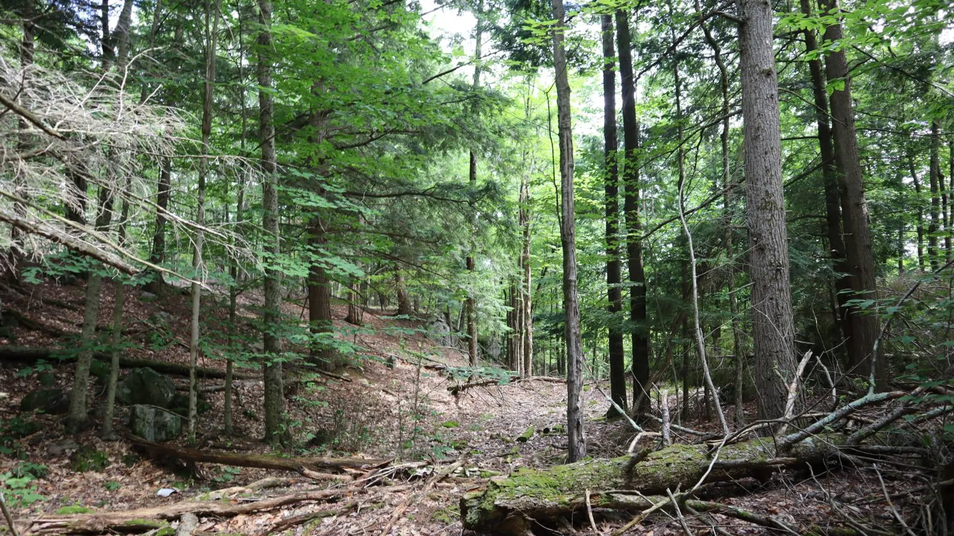 Property at 0 Glen Athol Road, Thurman, NY 12885 12