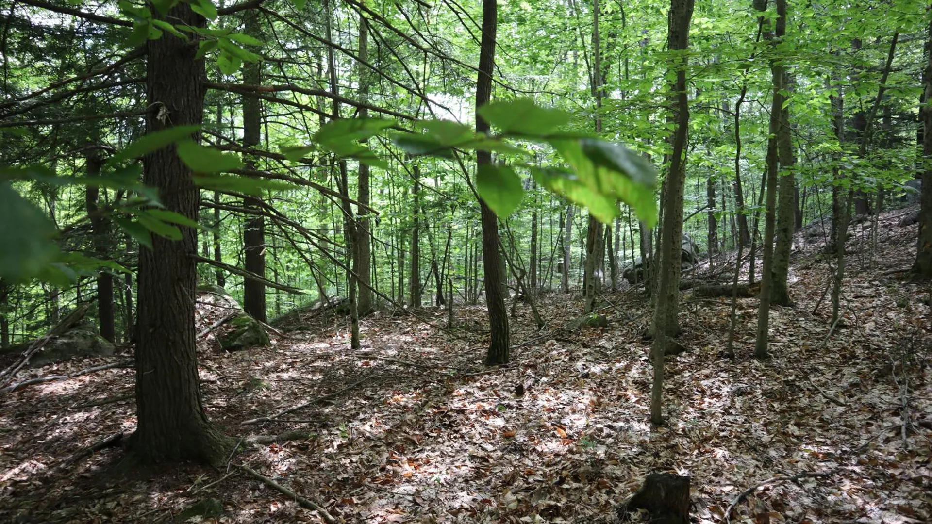 Property at 0 Glen Athol Road, Thurman, NY 12885 13