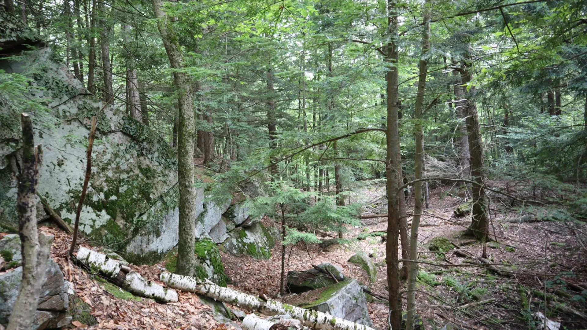 Property at 0 Glen Athol Road, Thurman, NY 12885 15