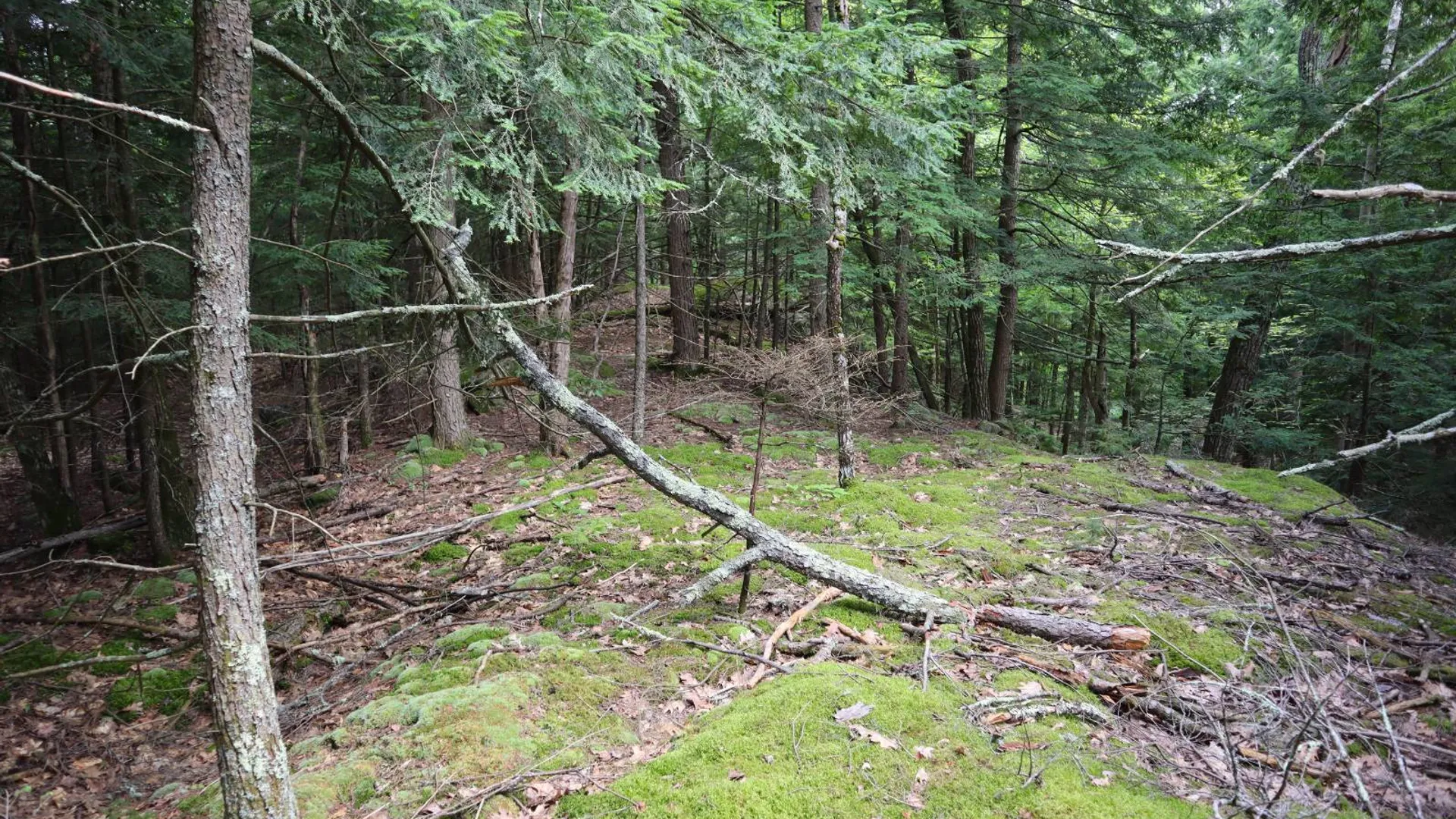 Property at 0 Glen Athol Road, Thurman, NY 12885 17