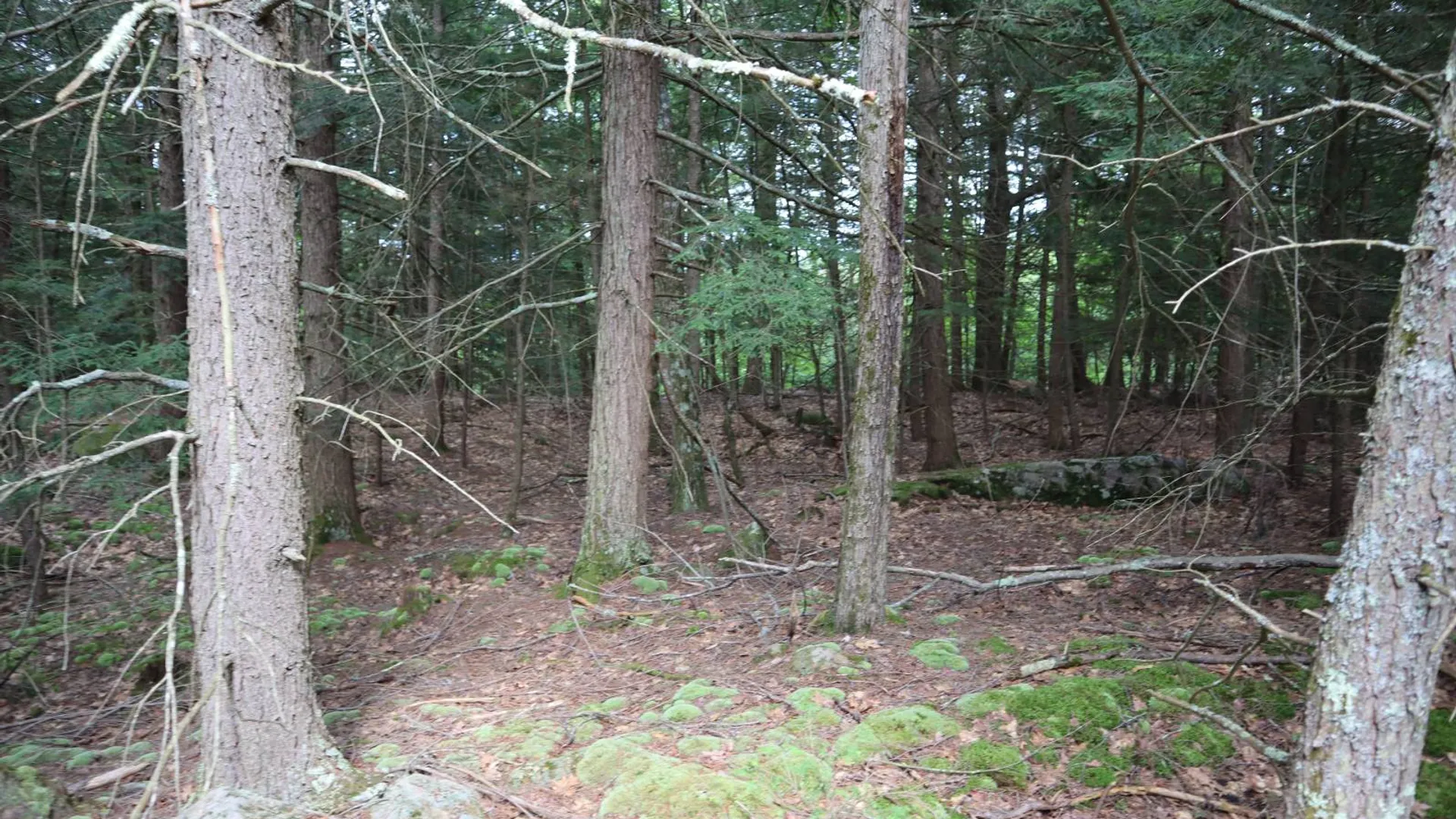 Property at 0 Glen Athol Road, Thurman, NY 12885 18