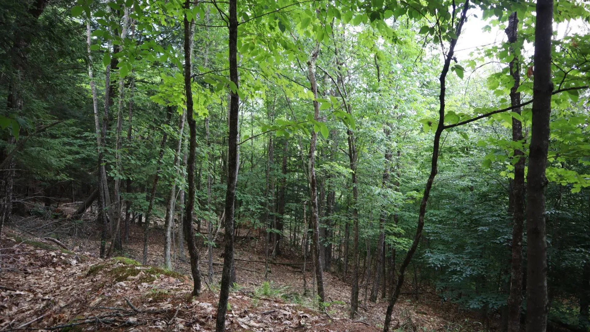 Property at 0 Glen Athol Road, Thurman, NY 12885 20