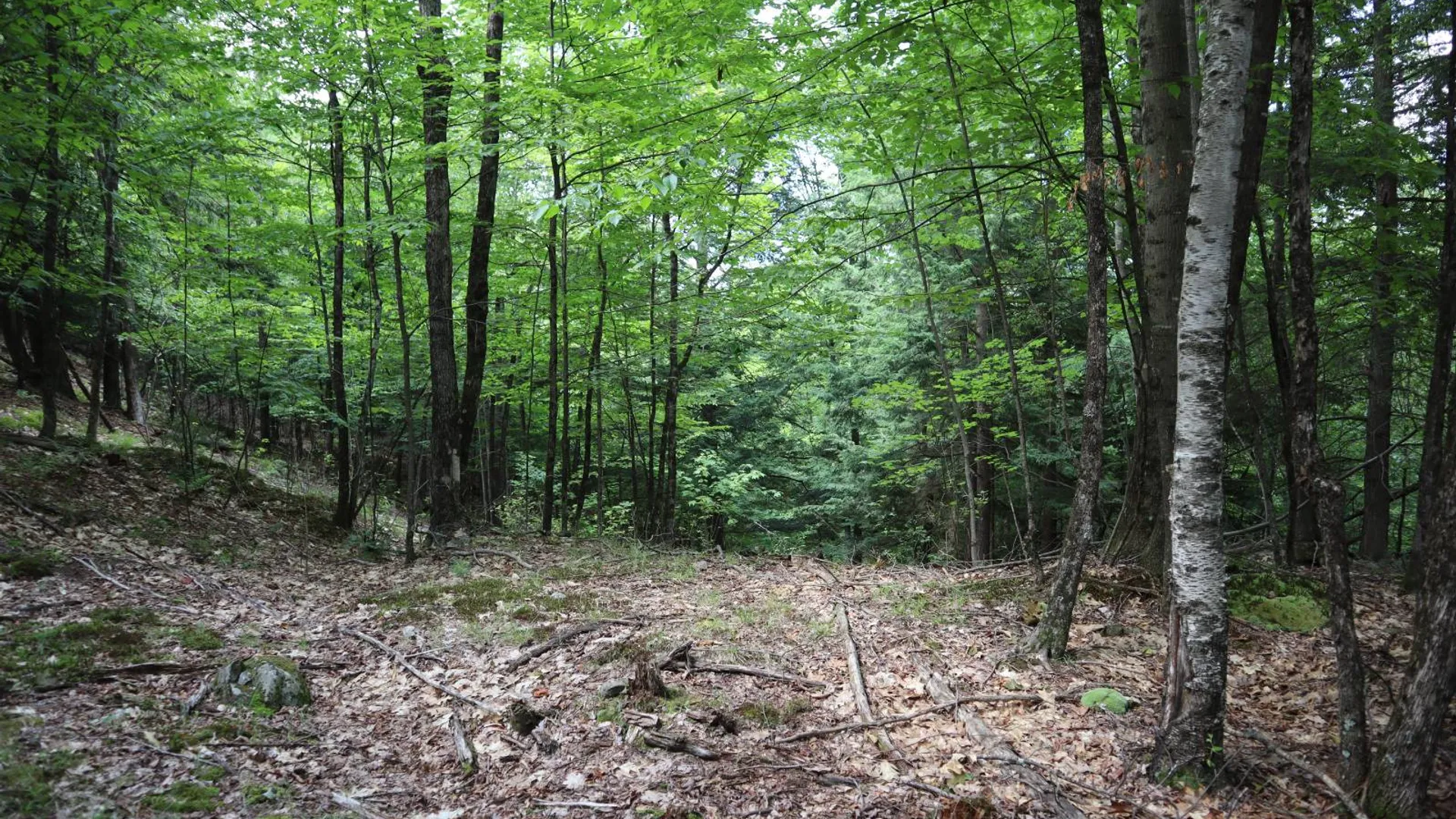 Property at 0 Glen Athol Road, Thurman, NY 12885 22