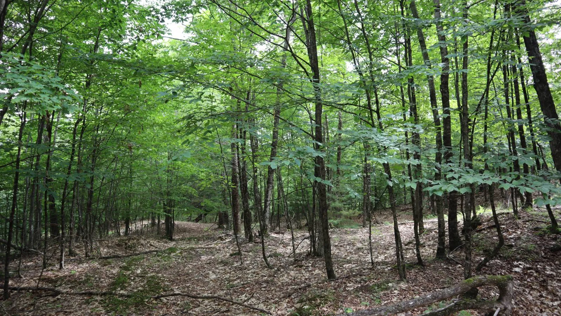 Property at 0 Glen Athol Road, Thurman, NY 12885 23