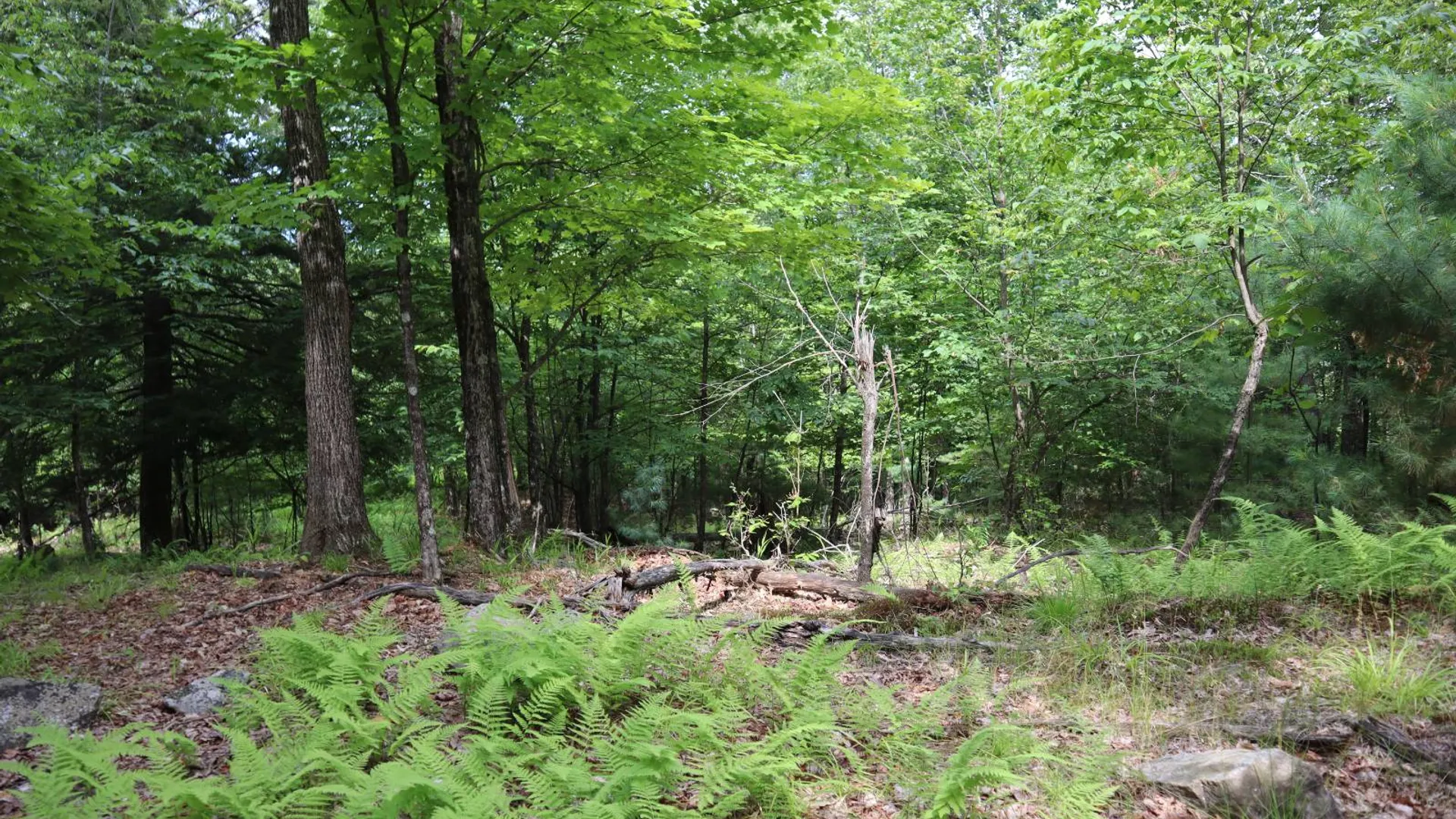 Property at 0 Glen Athol Road, Thurman, NY 12885 24