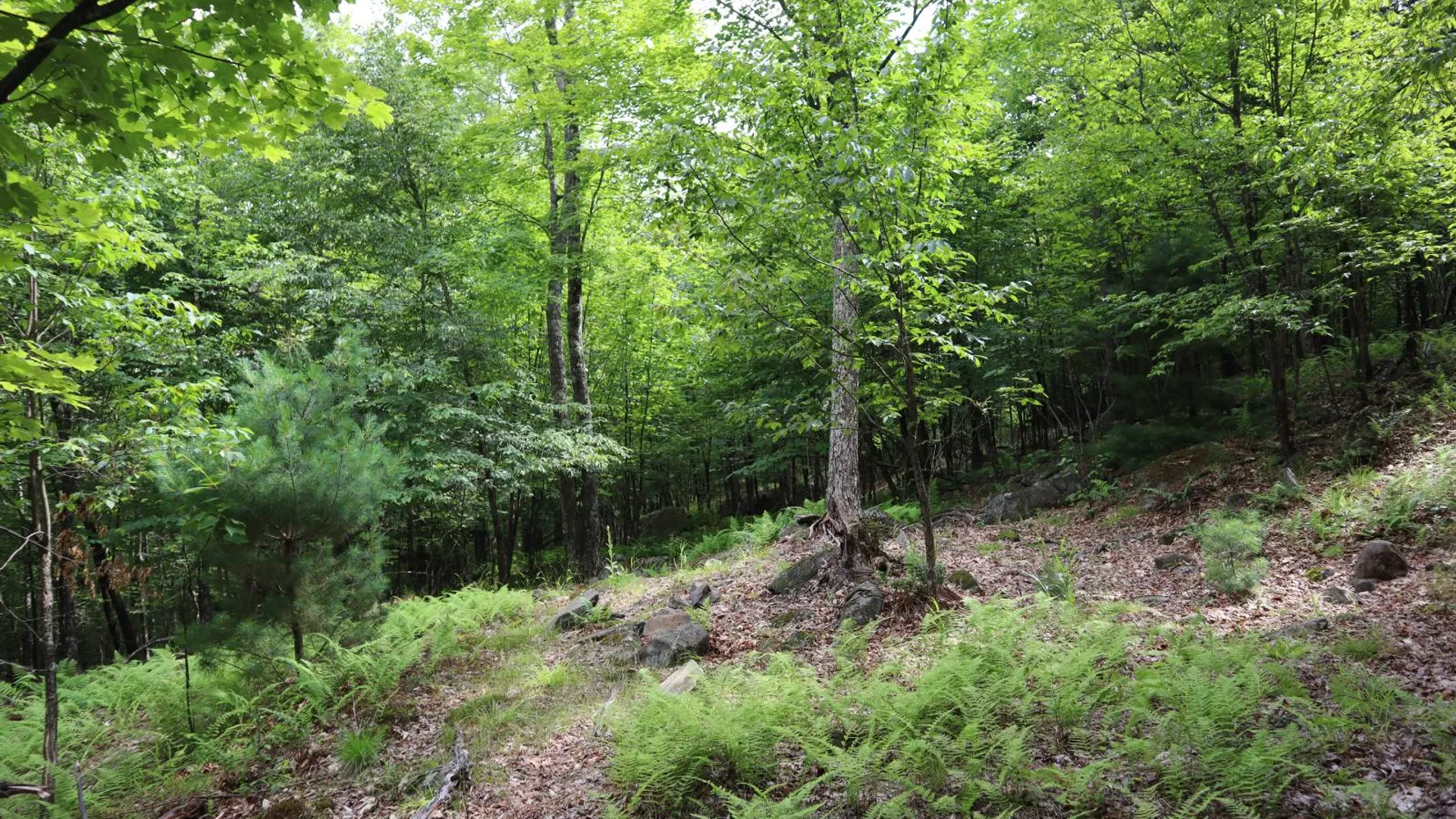 Property at 0 Glen Athol Road, Thurman, NY 12885 25