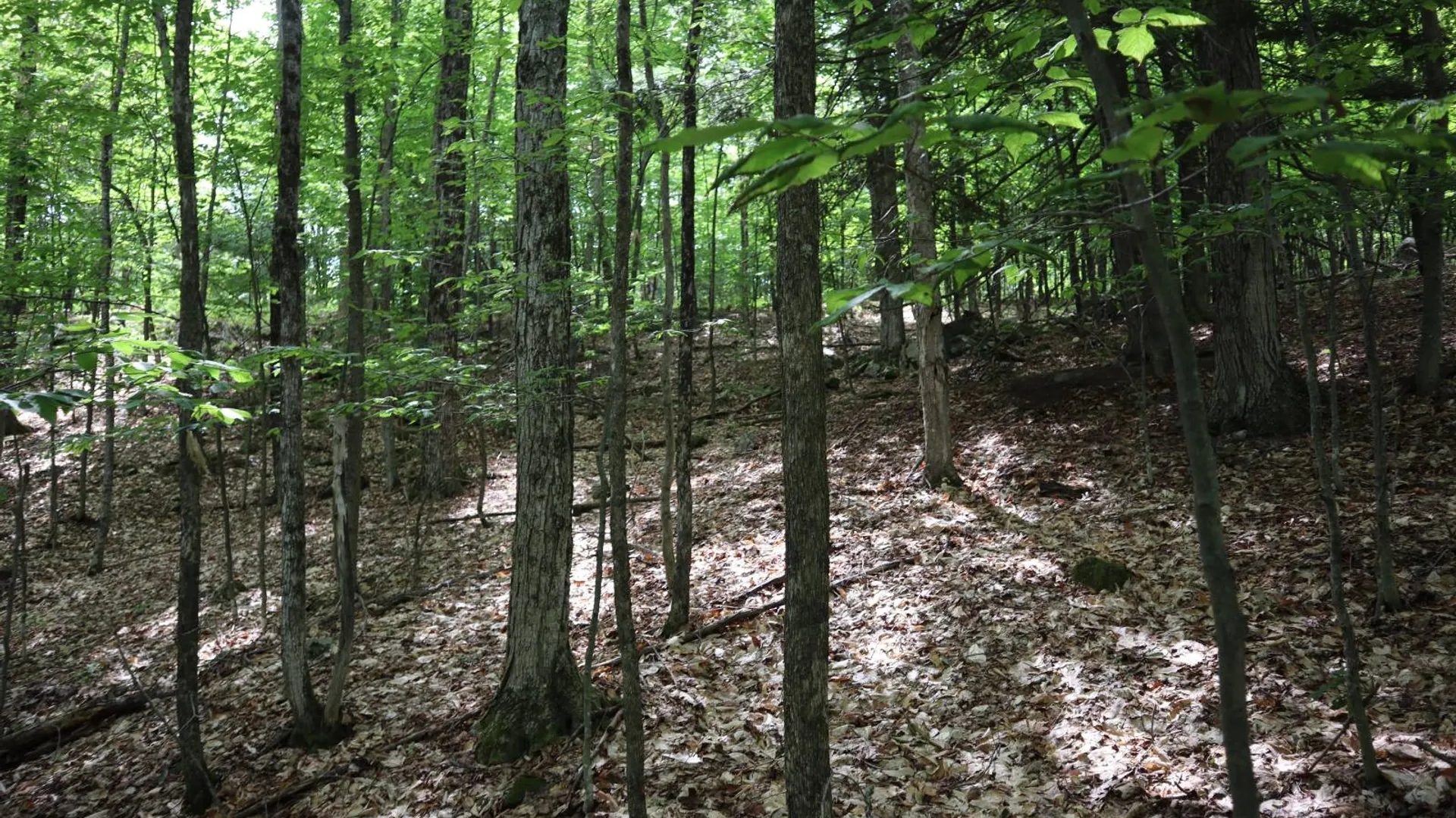 Property at 0 Glen Athol Road, Thurman, NY 12885 26