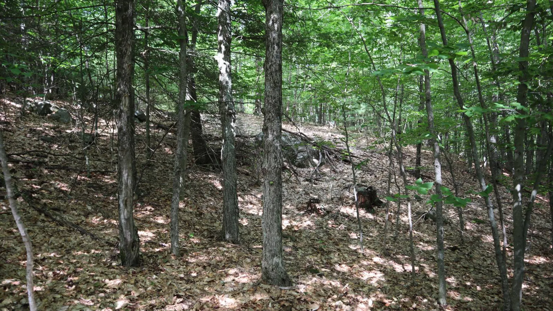 Property at 0 Glen Athol Road, Thurman, NY 12885 28