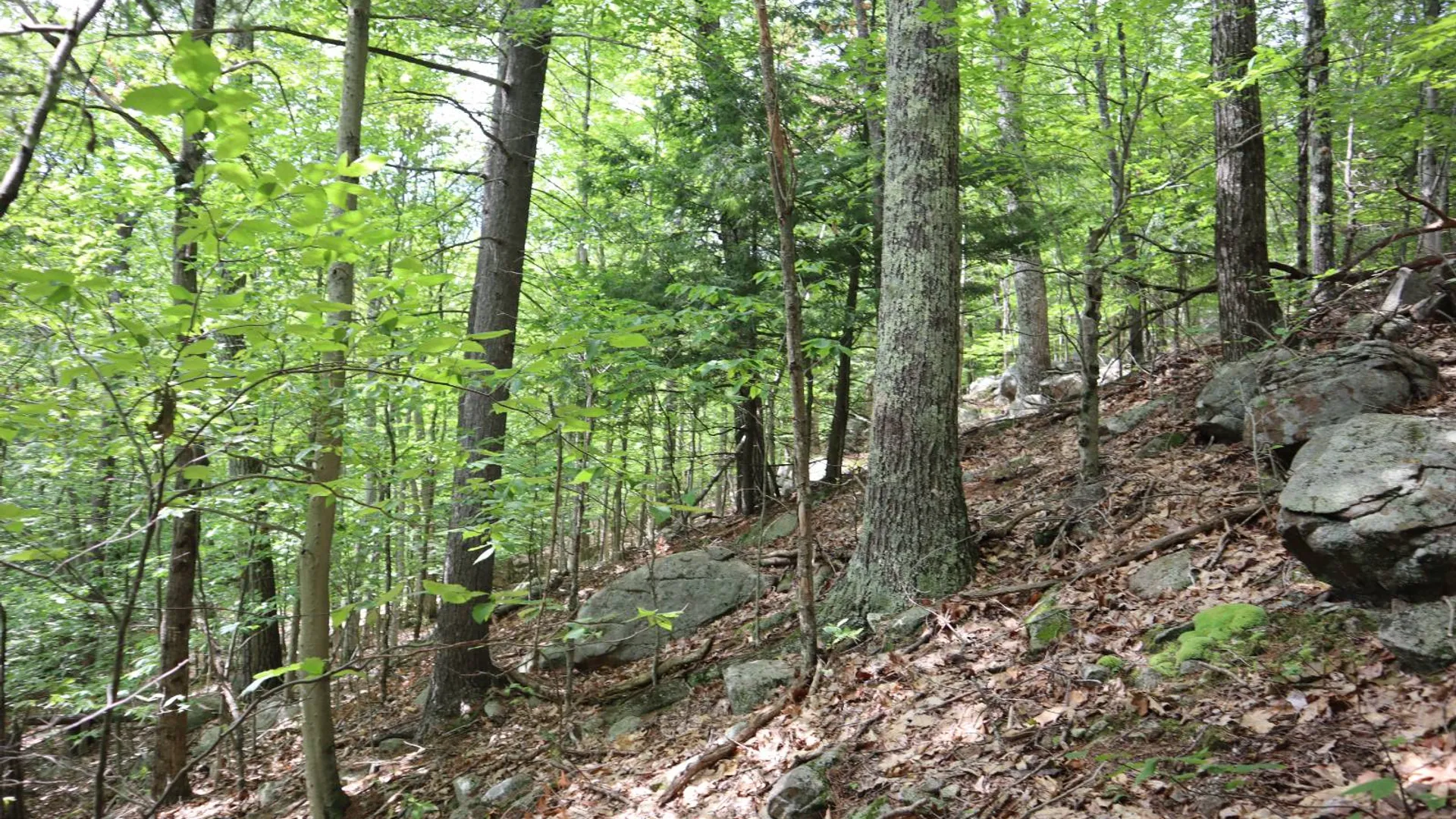 Property at 0 Glen Athol Road, Thurman, NY 12885 29