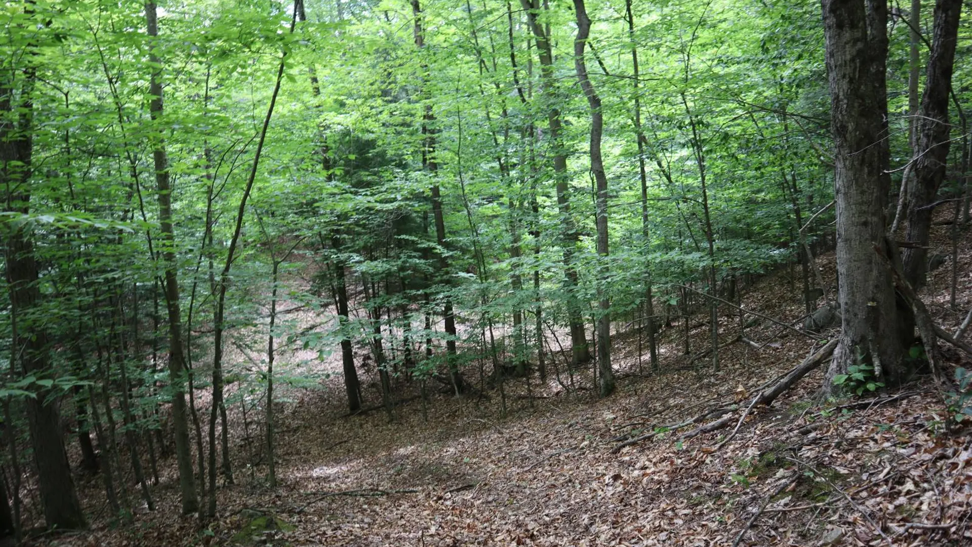 Property at 0 Glen Athol Road, Thurman, NY 12885 30
