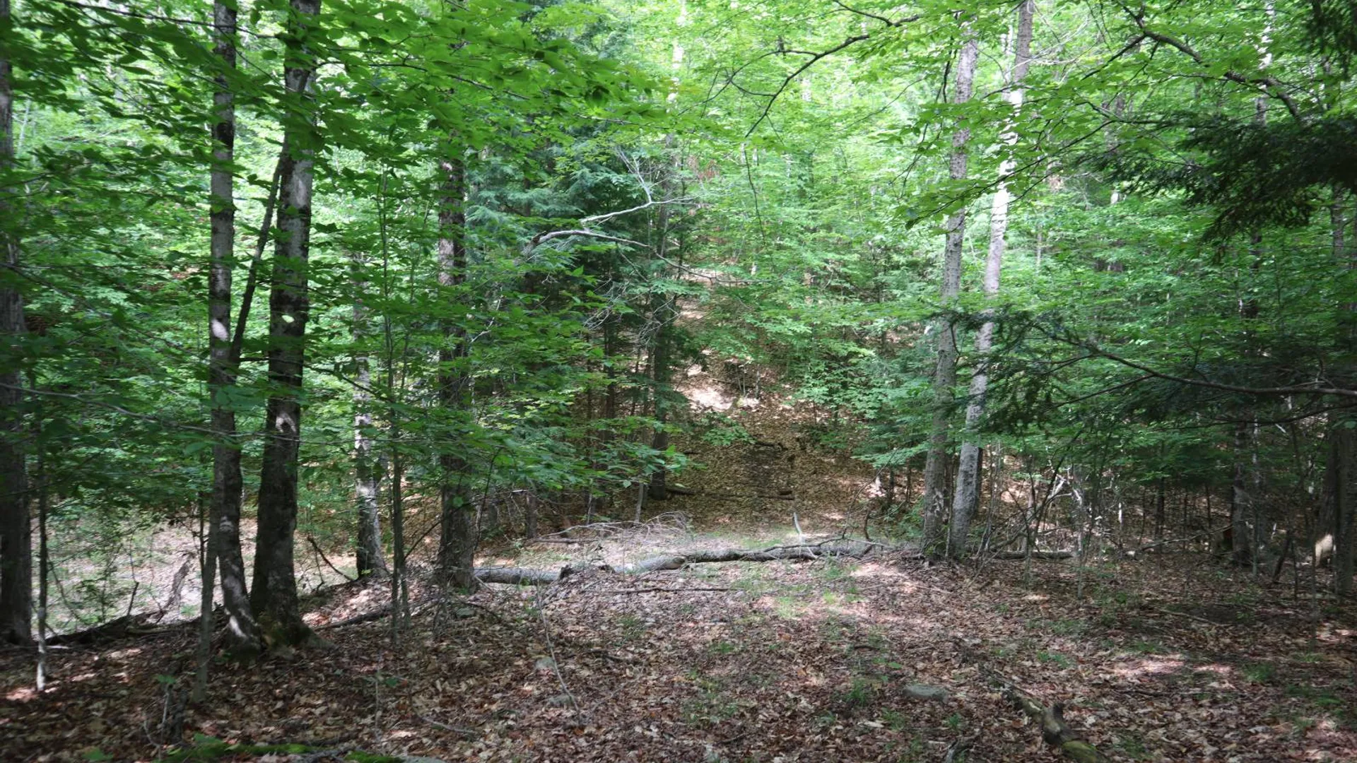 Property at 0 Glen Athol Road, Thurman, NY 12885 31