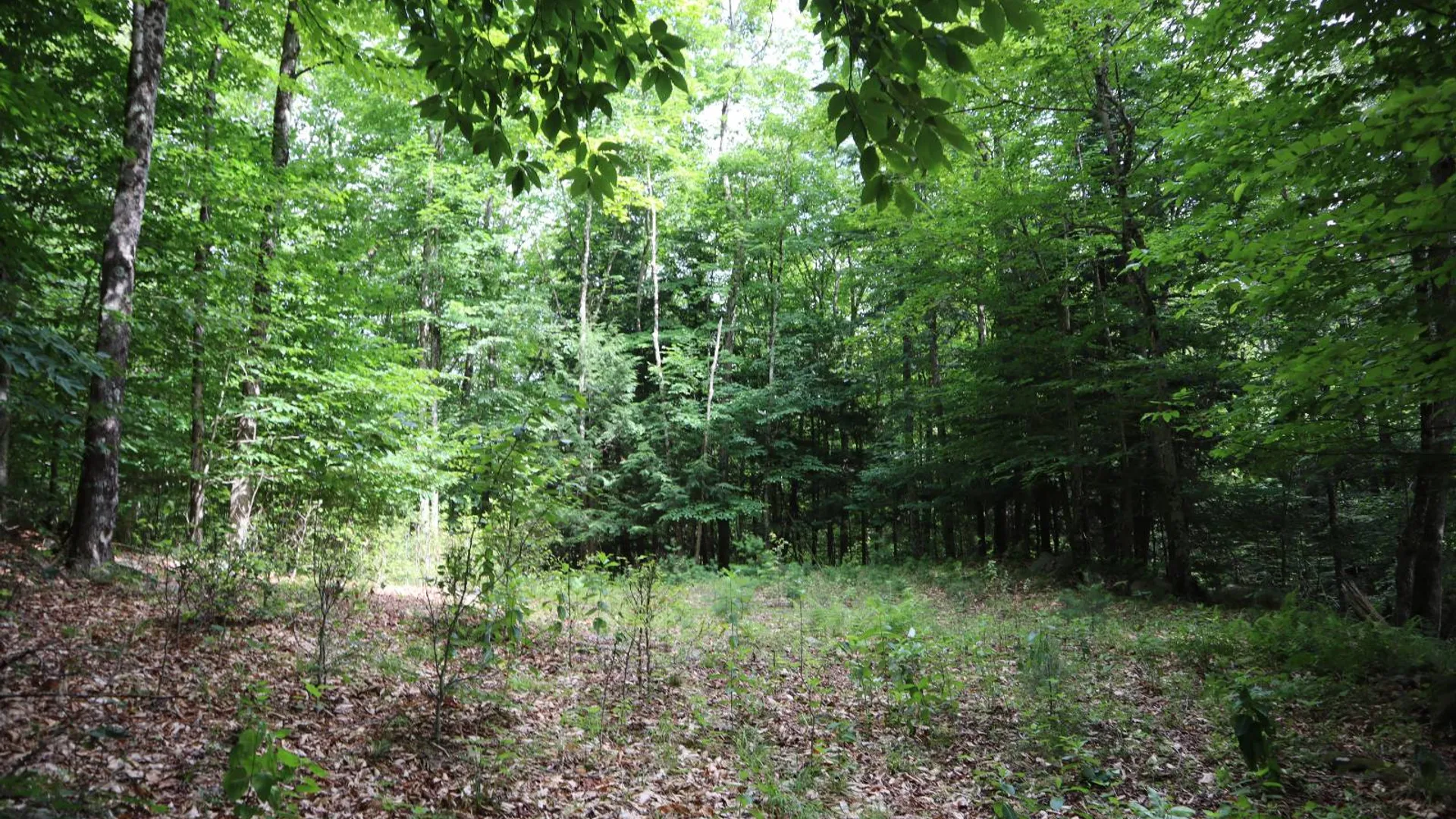 Property at 0 Glen Athol Road, Thurman, NY 12885 32