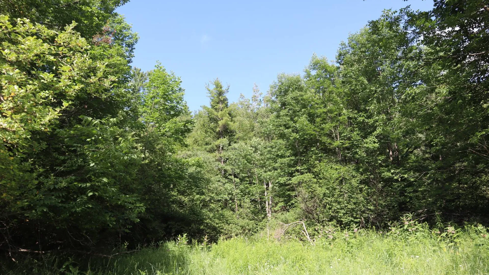 Property at 0 Glen Athol Road, Thurman, NY 12885 34