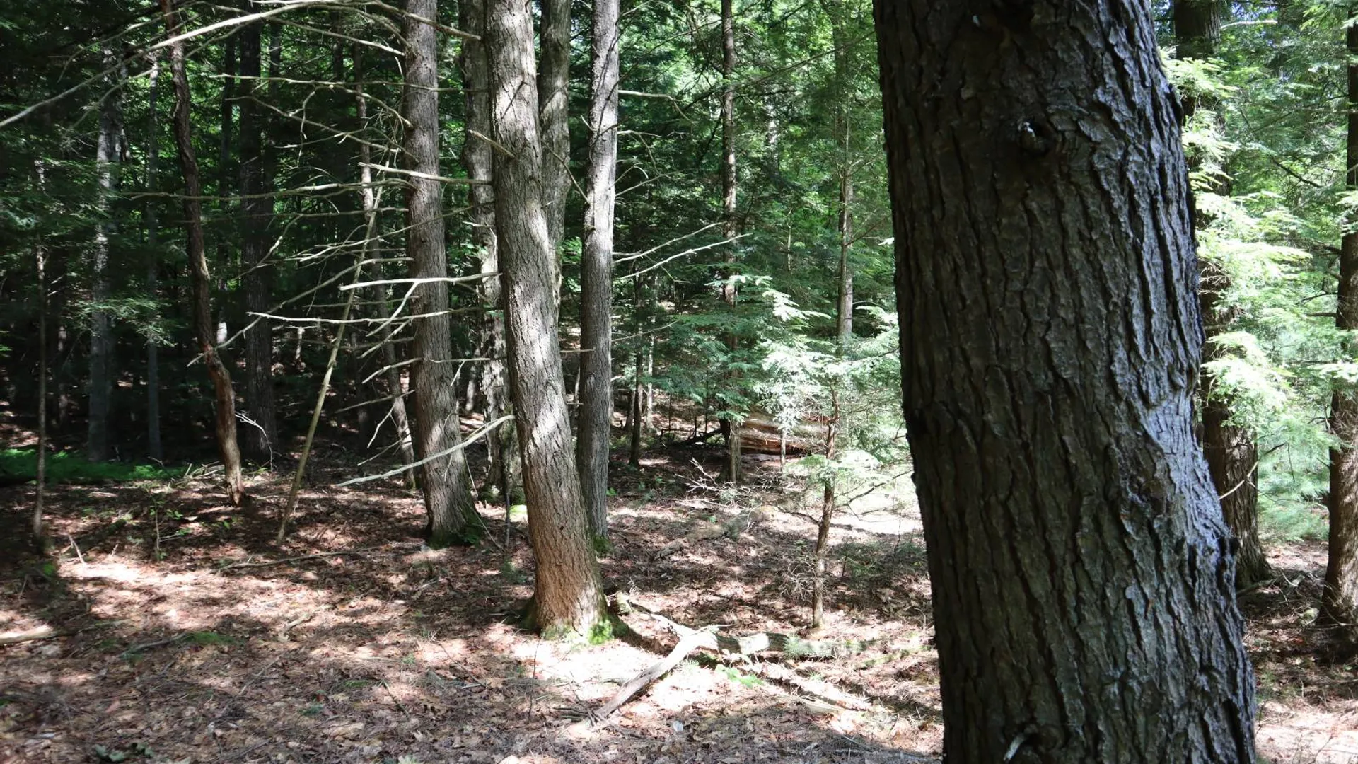 Property at 0 Glen Athol Road, Thurman, NY 12885 35