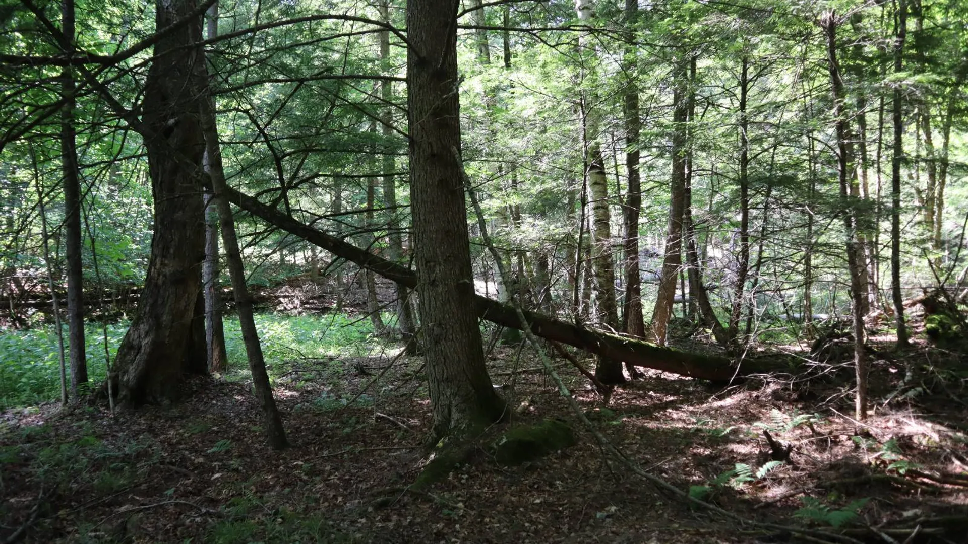 Property at 0 Glen Athol Road, Thurman, NY 12885 36
