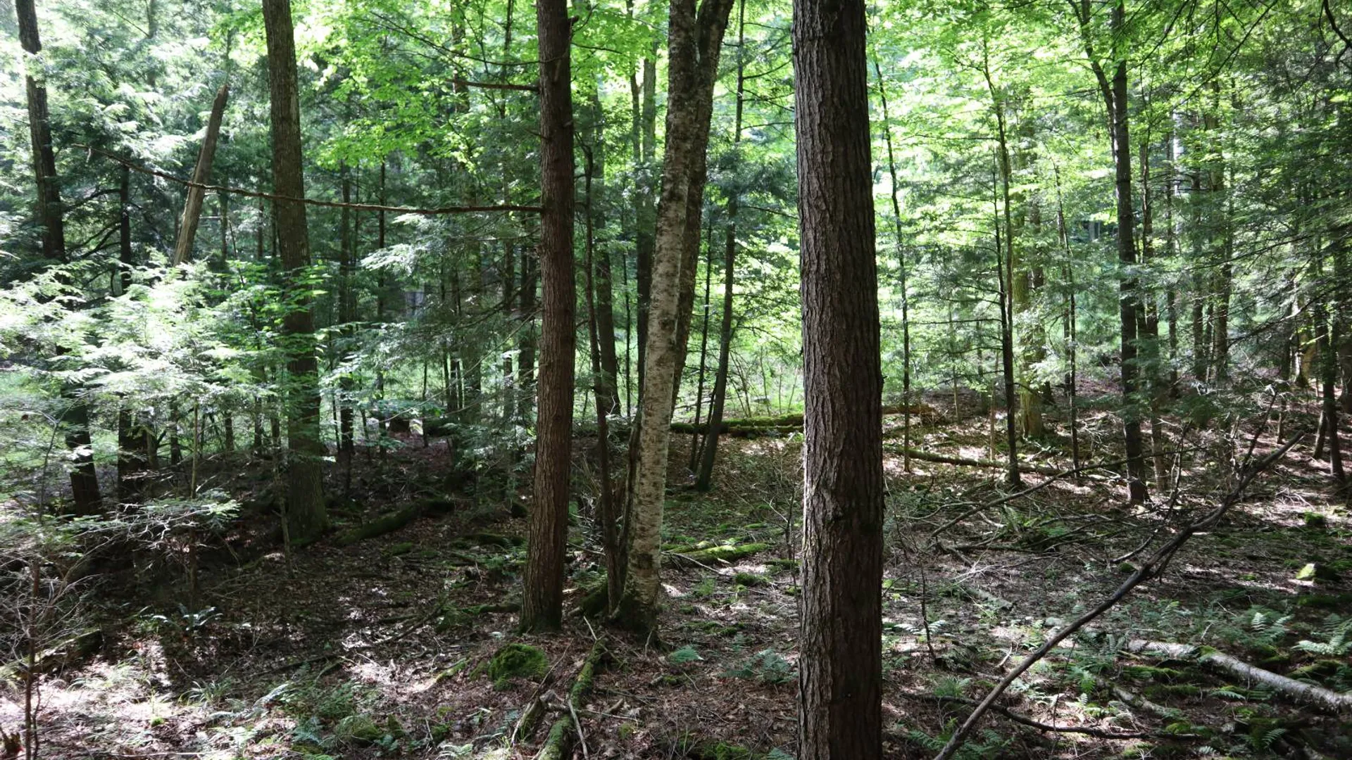 Property at 0 Glen Athol Road, Thurman, NY 12885 37
