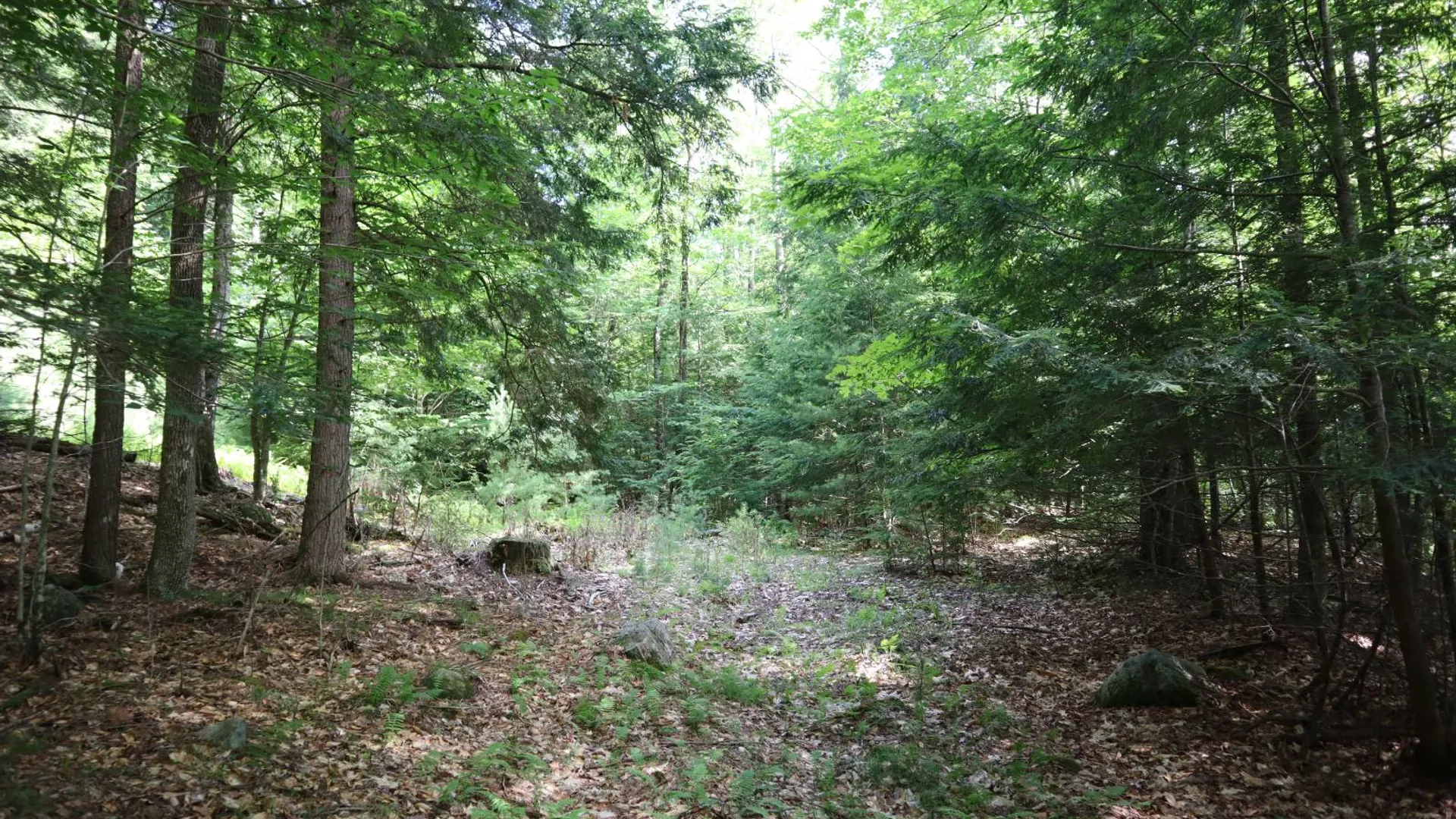 Property at 0 Glen Athol Road, Thurman, NY 12885 42