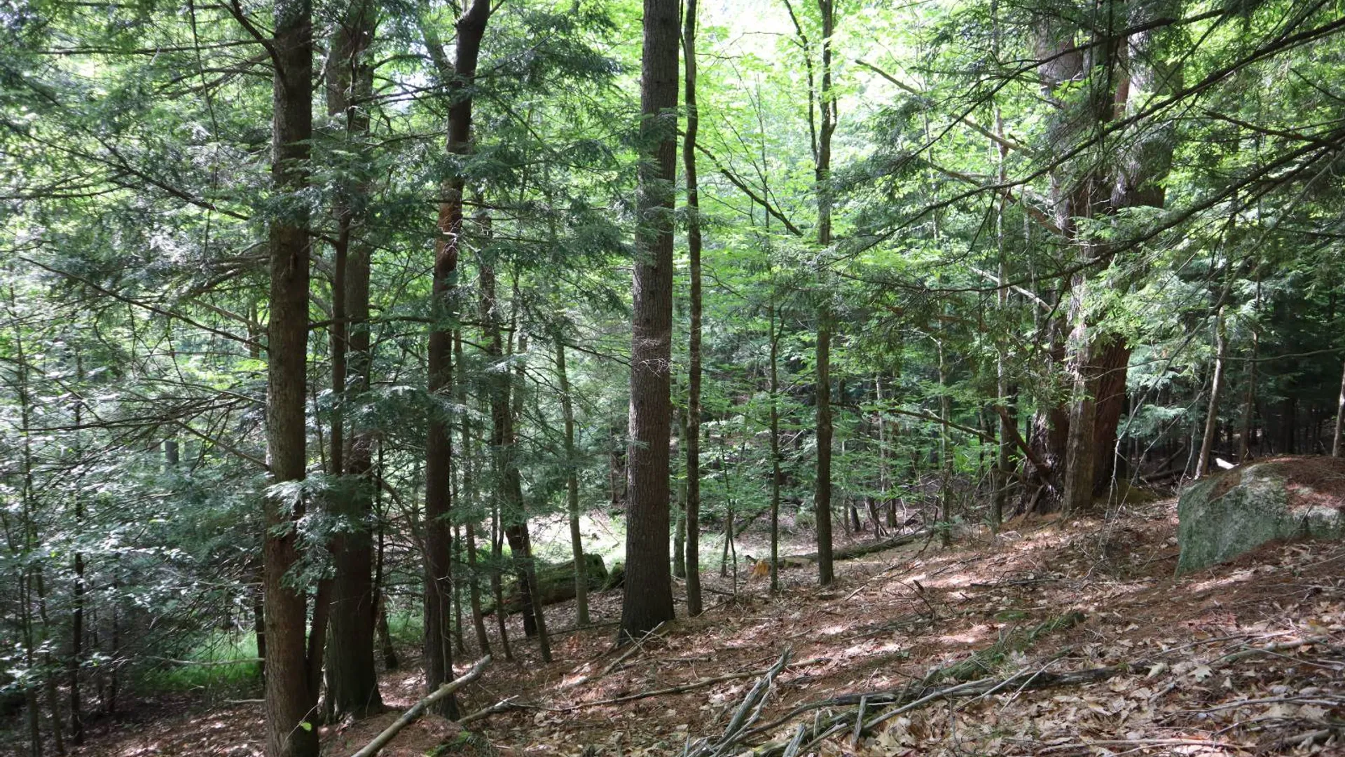 Property at 0 Glen Athol Road, Thurman, NY 12885 43