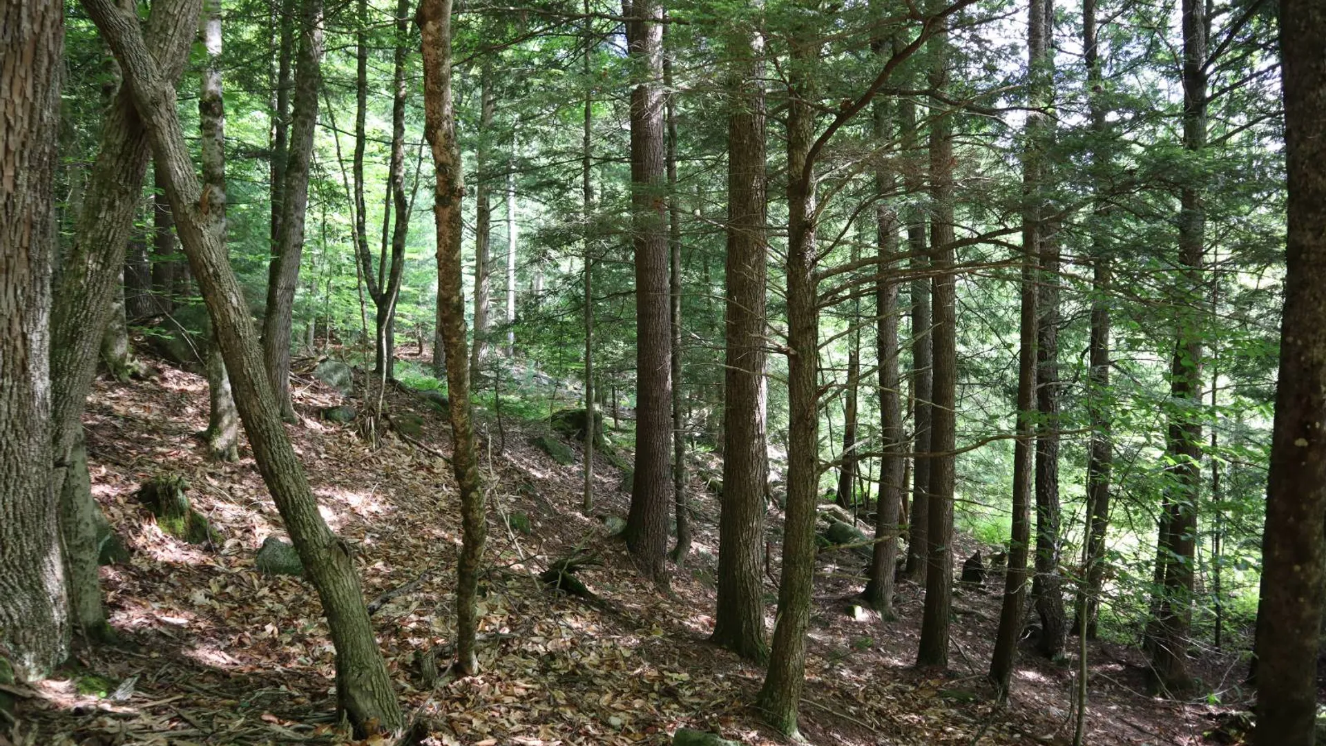 Property at 0 Glen Athol Road, Thurman, NY 12885 44