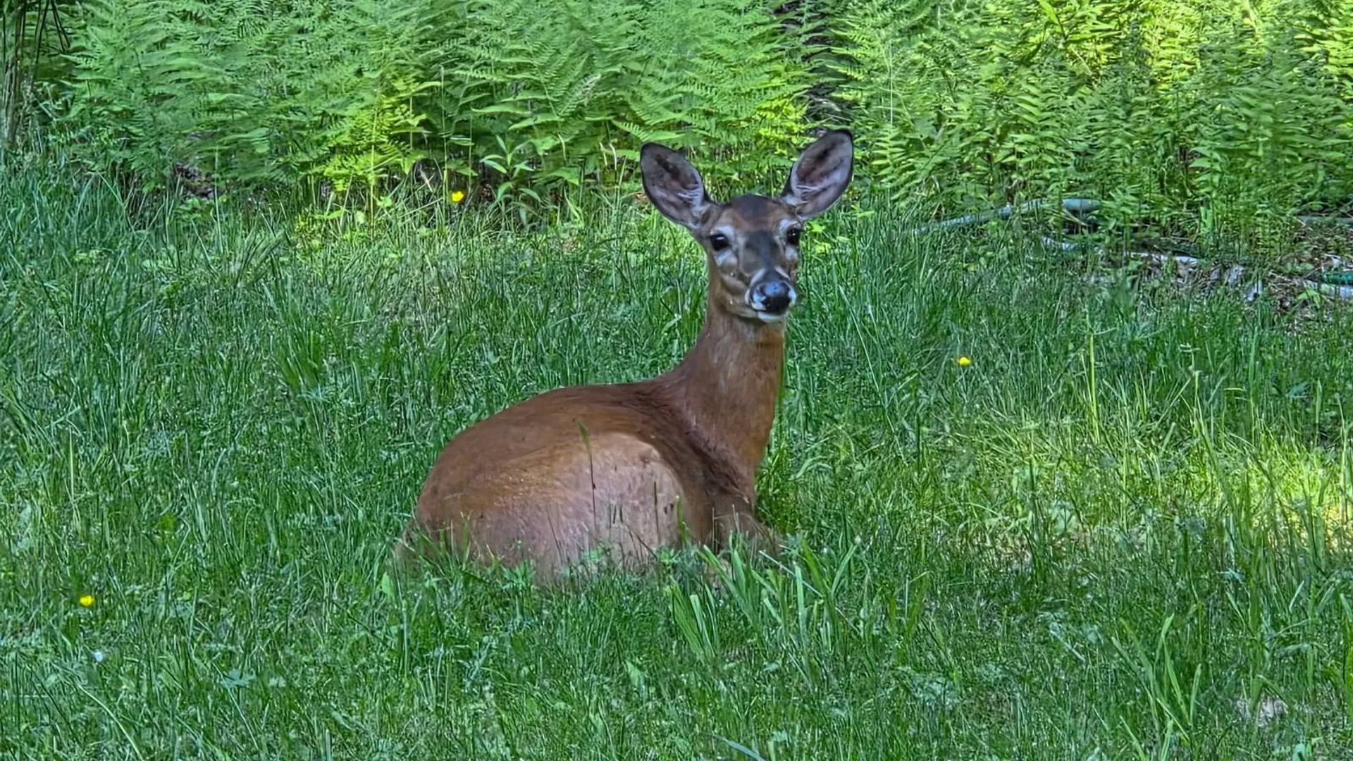 Property at 324 Turkey Hill Road, Margaretville, NY 12455 8