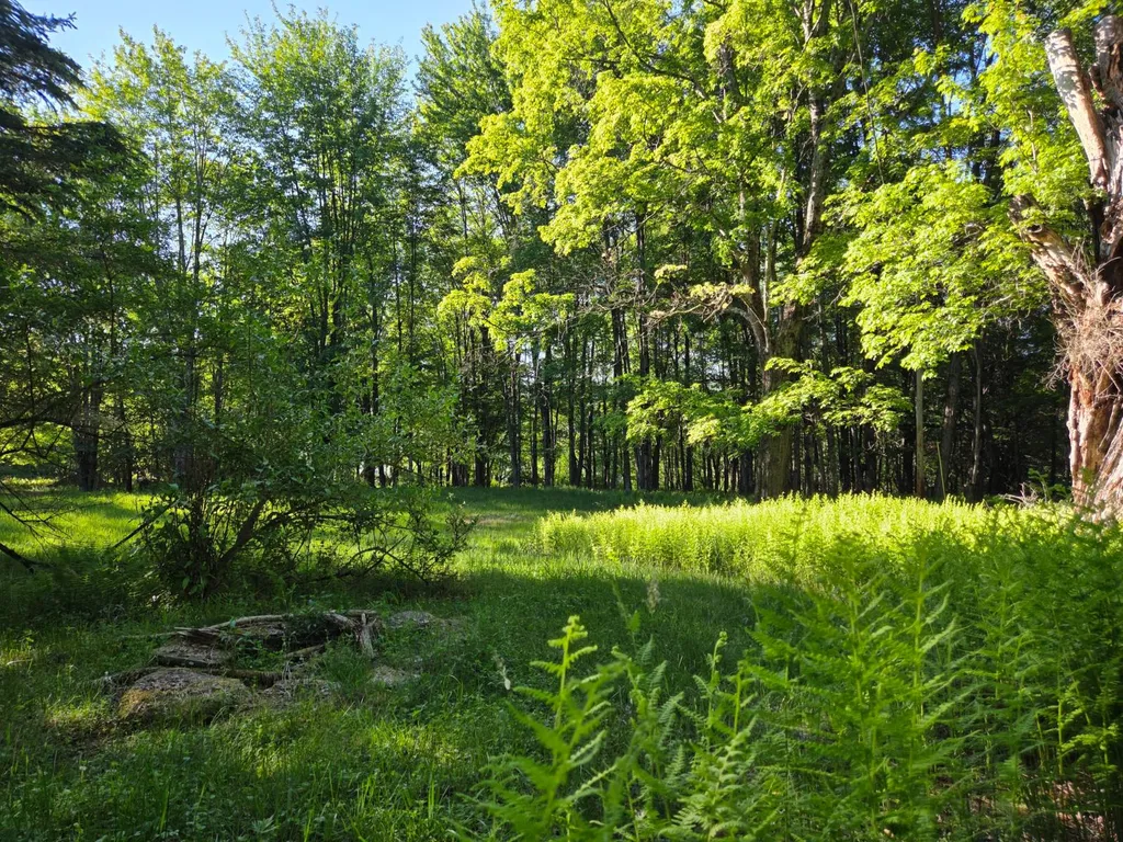 Property at 324 Turkey Hill Road, Margaretville, NY 12455
