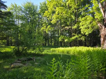 Property at 324 Turkey Hill Road, Margaretville, NY 12455