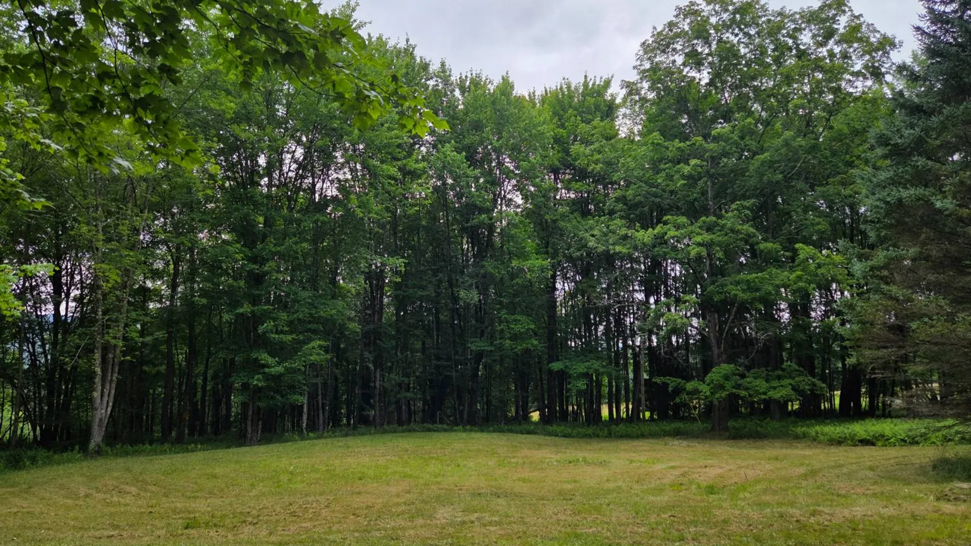 Property at 324 Turkey Hill Road, Margaretville, NY 12455 3