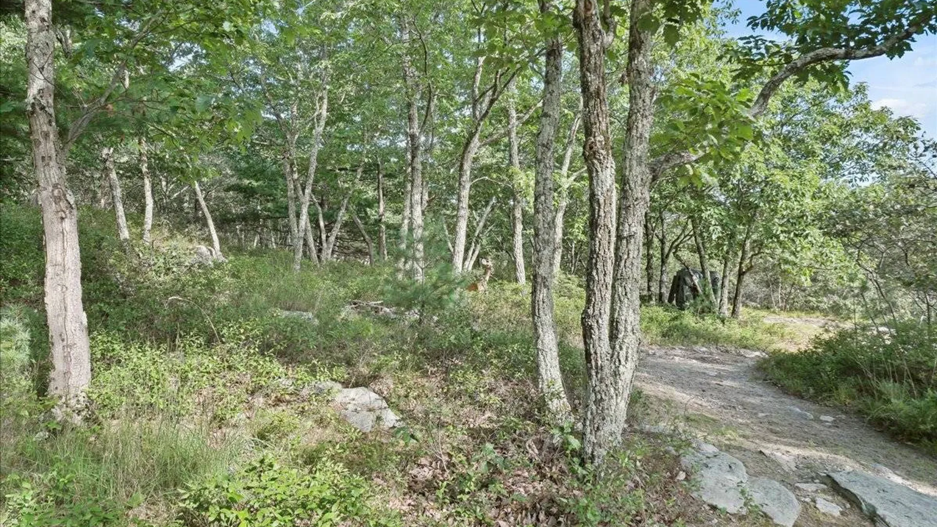 Property at 96 Treetops Trail, Bloomingburg, NY 12721 32