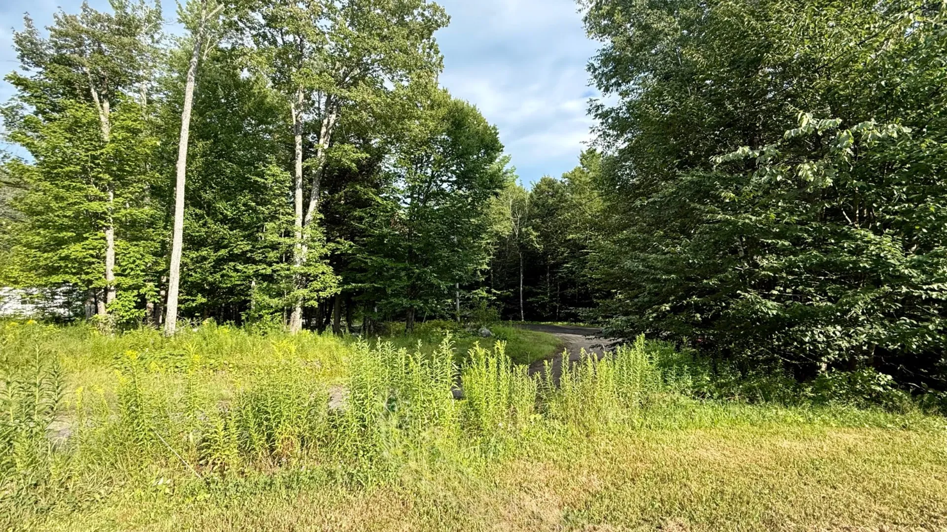 Property at 118 Jim's Hill Road, Lake Pleasant, NY 12108 35