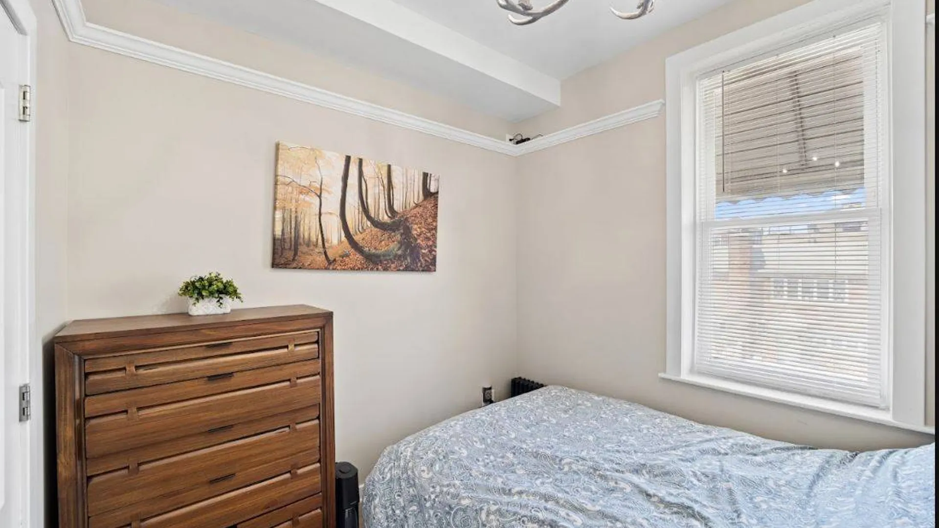 Property at 76-04 68th Ave, New York, NY, NY 11379 27