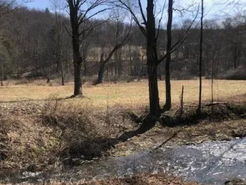 Property at TBD Finch Hollow Rd, Walton NY, NY 13856