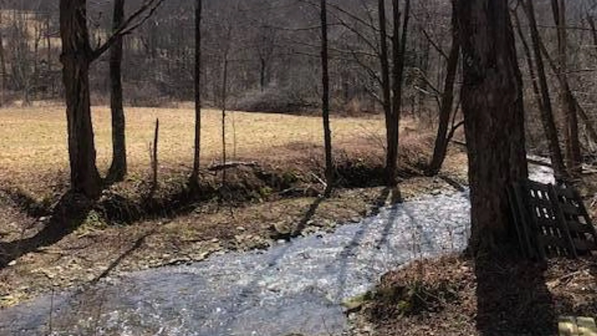 Property at TBD Finch Hollow Rd, Walton NY, NY 13856 2