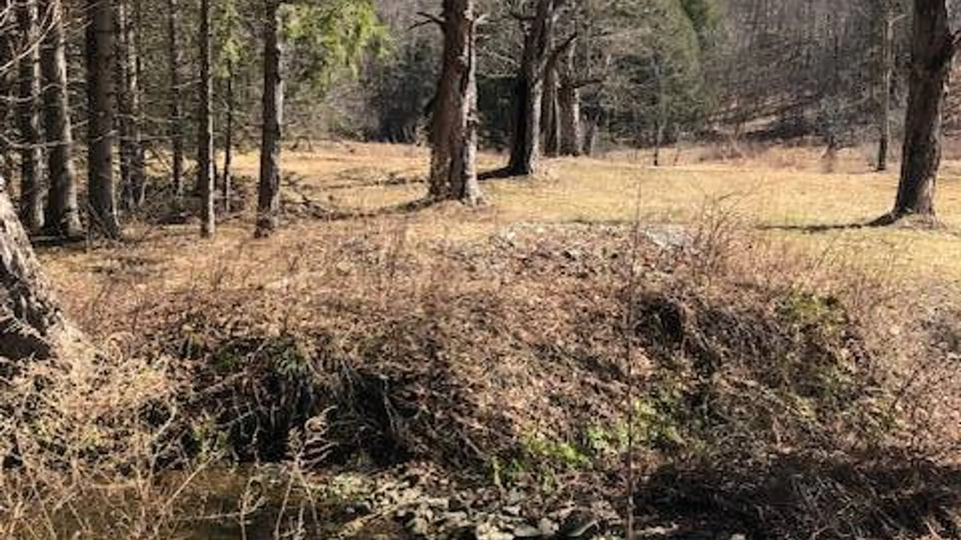 Property at TBD Finch Hollow Rd, Walton NY, NY 13856 3