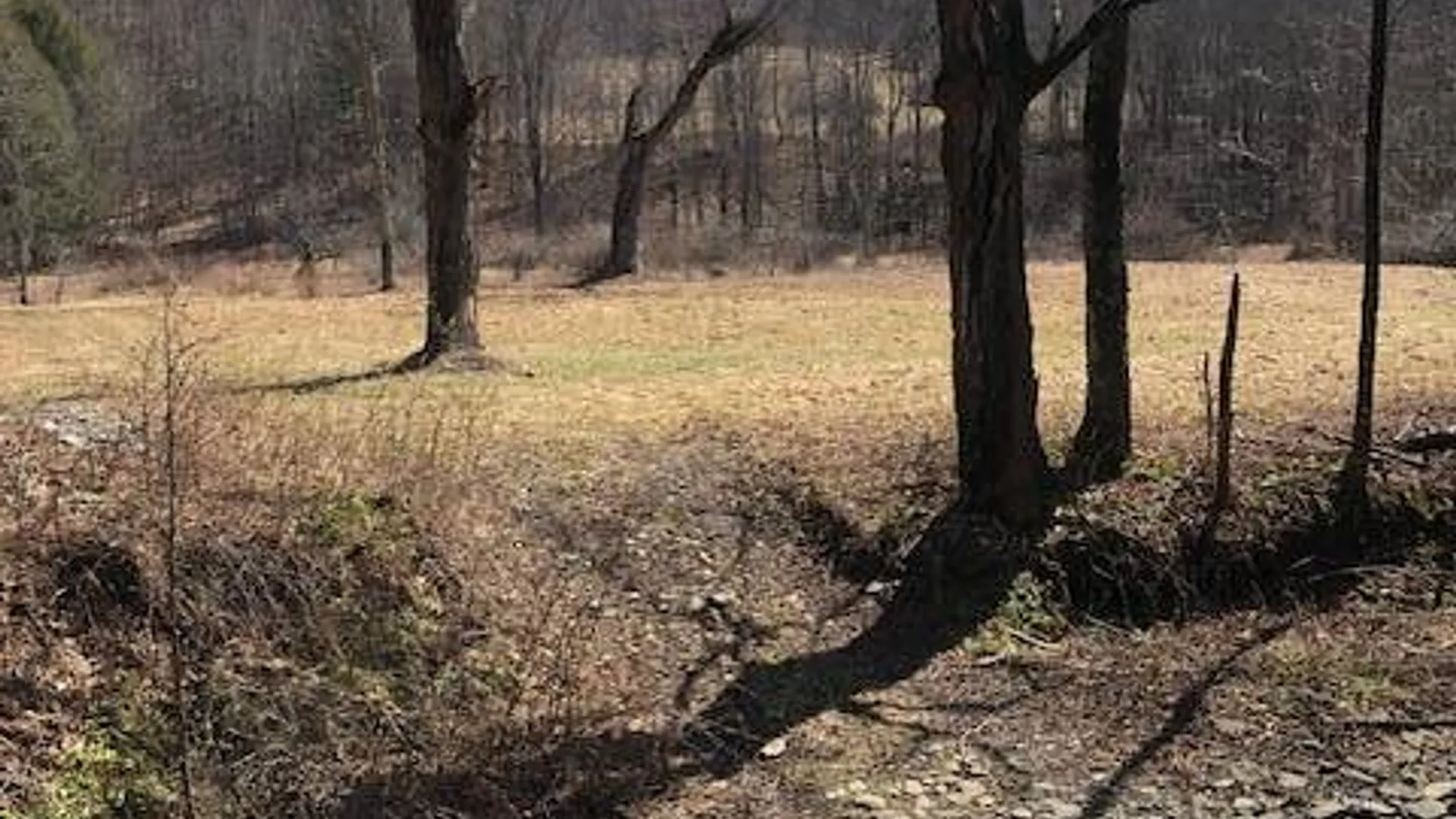 Property at TBD Finch Hollow Rd, Walton NY, NY 13856 4