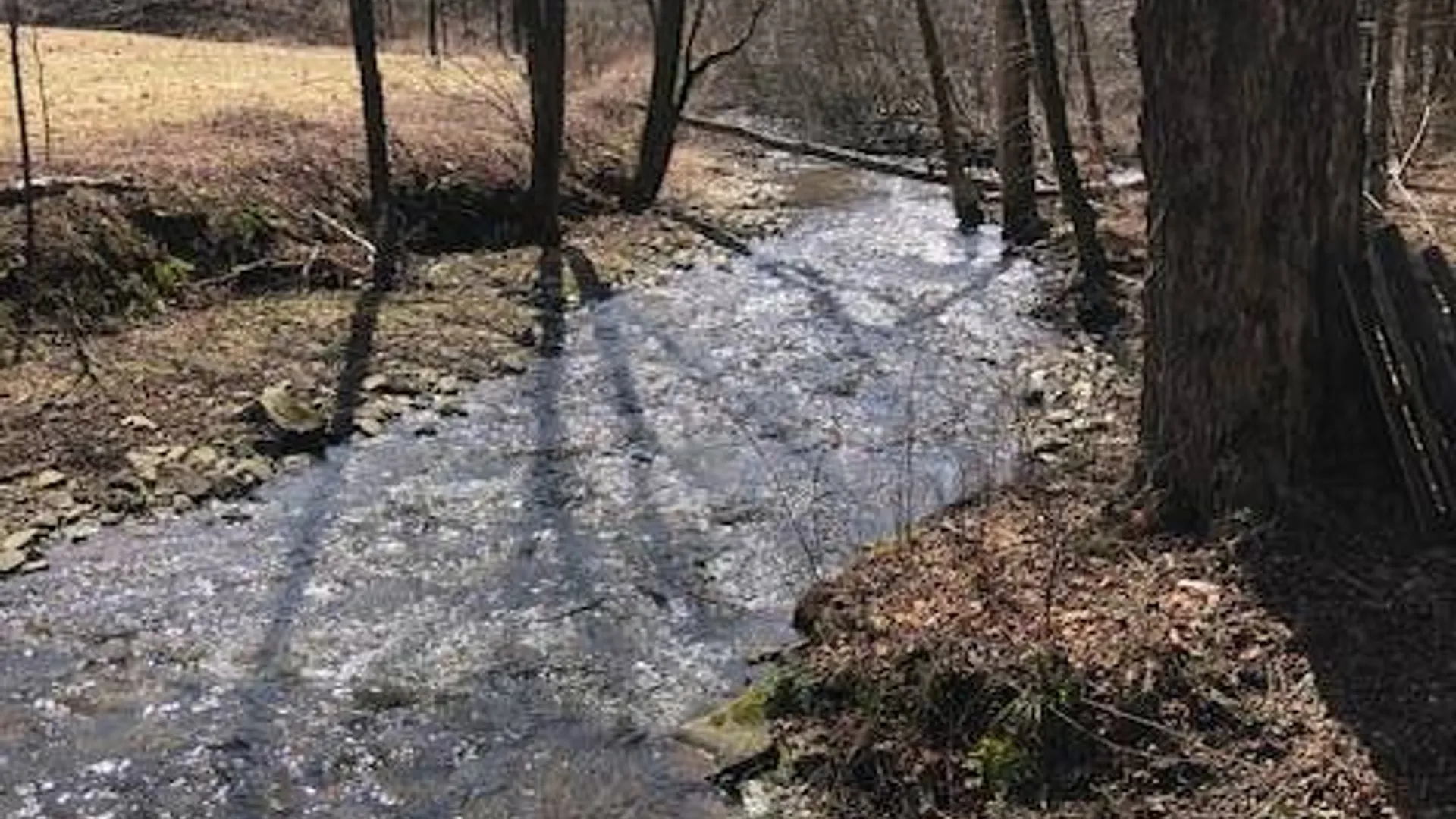 Property at TBD Finch Hollow Rd, Walton NY, NY 13856 5