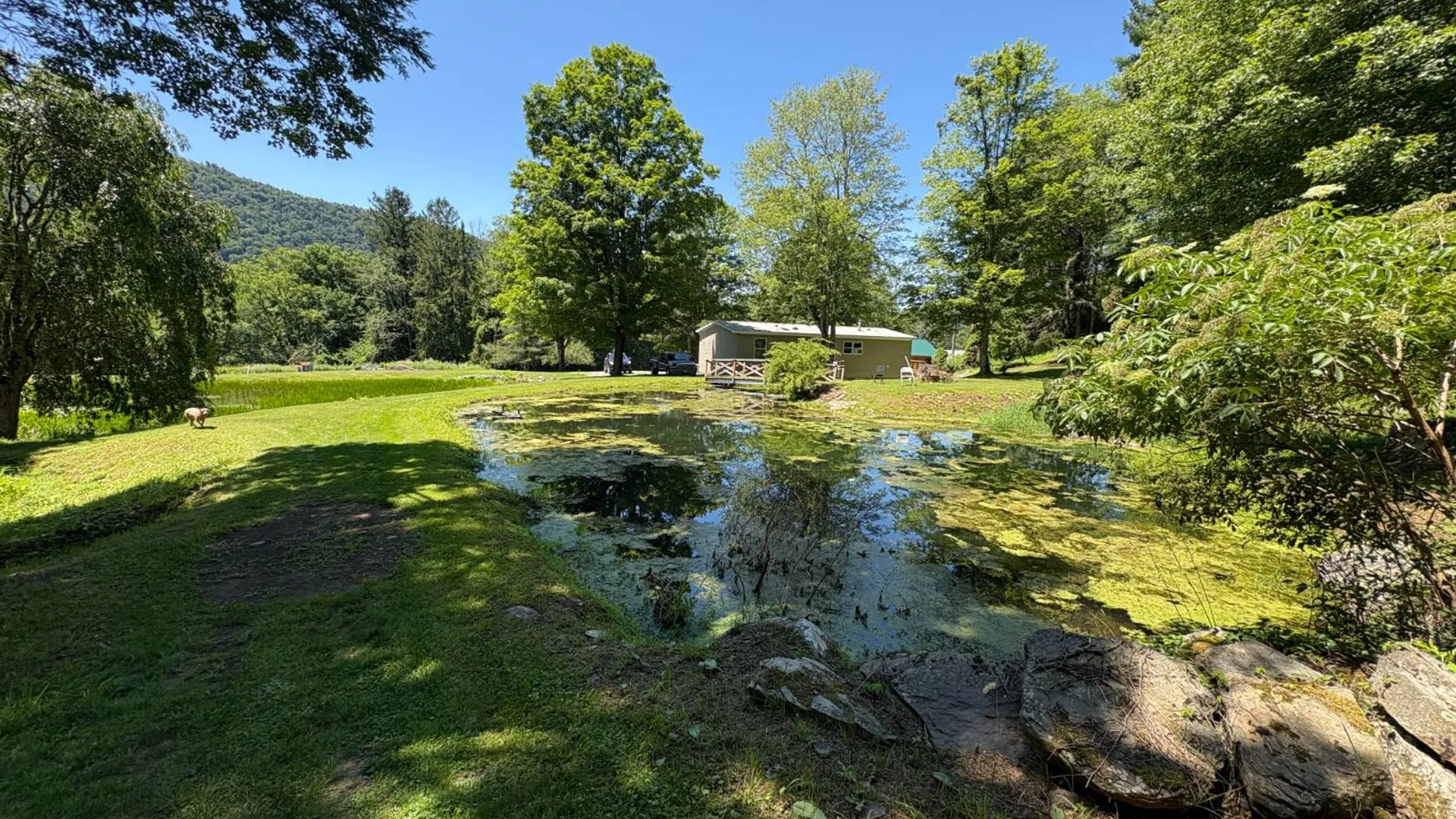 Property at 110 Fino Rd, Fishs Eddy, NY 13783 50
