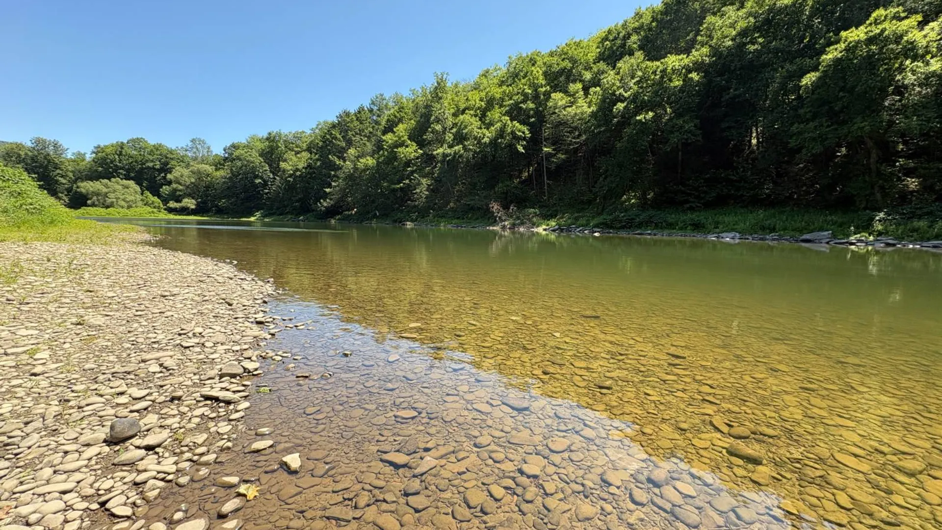 Property at 110 Fino Rd, Fishs Eddy, NY 13783 72