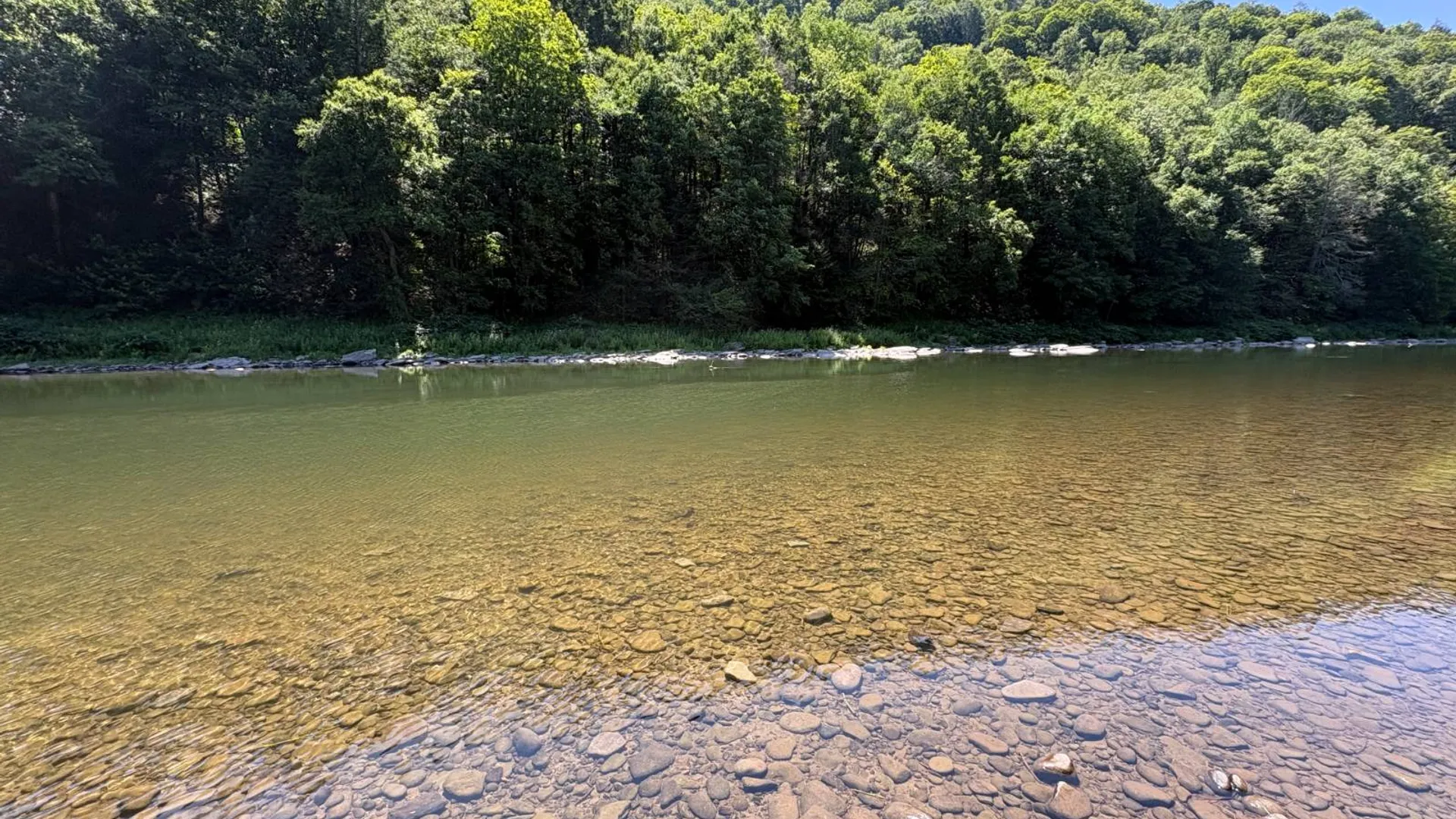Property at 110 Fino Rd, Fishs Eddy, NY 13783 73