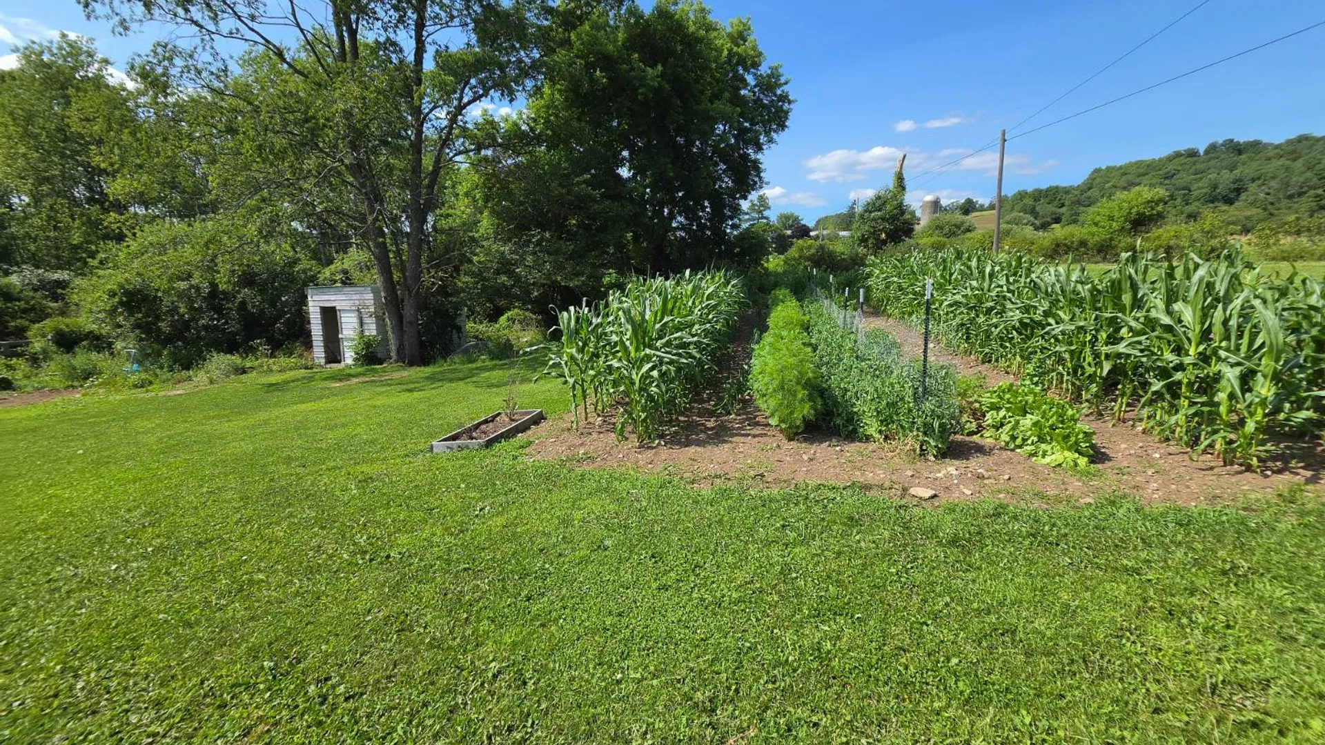 Property at 853 Academy road, Brookfield, NY 13485 7