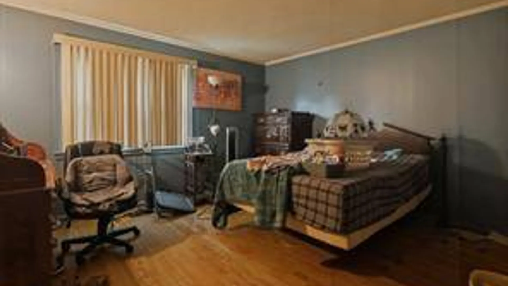 Property at 162 Landon Ave, Newark, NY 14513 17