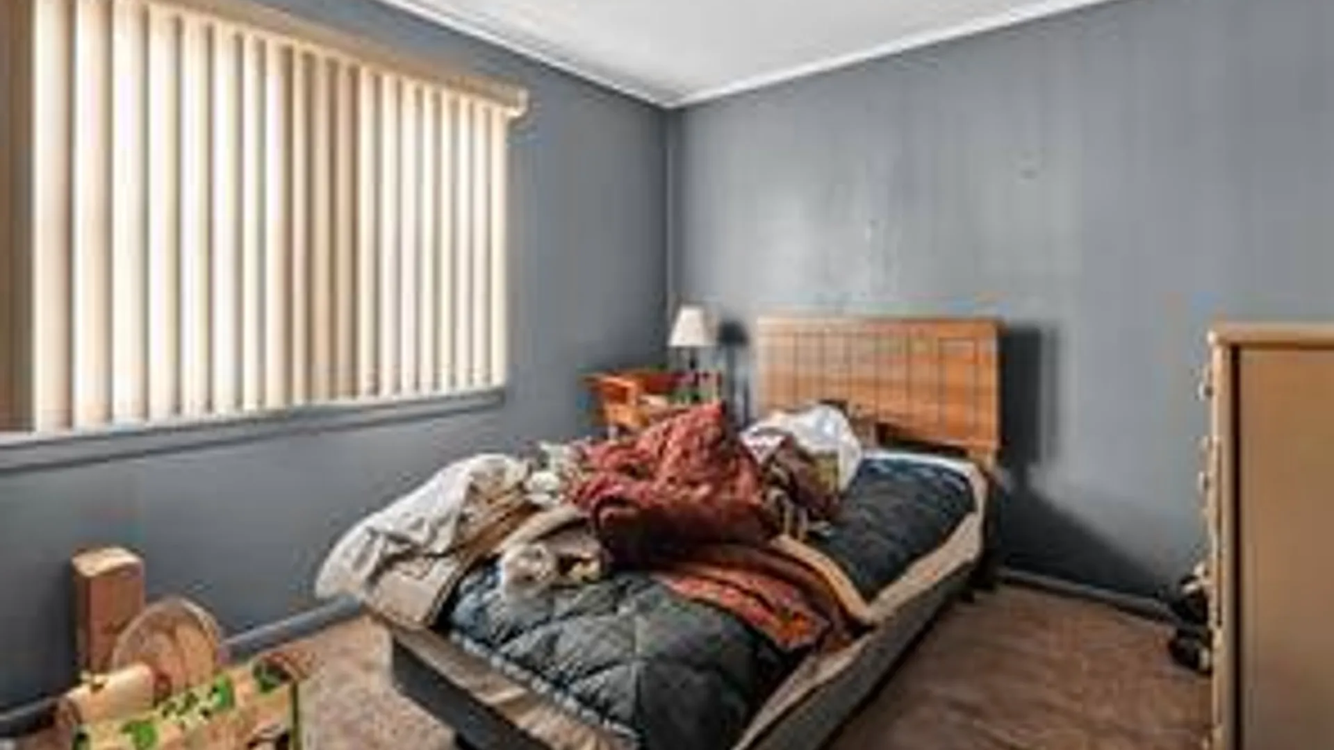 Property at 162 Landon Ave, Newark, NY 14513 18