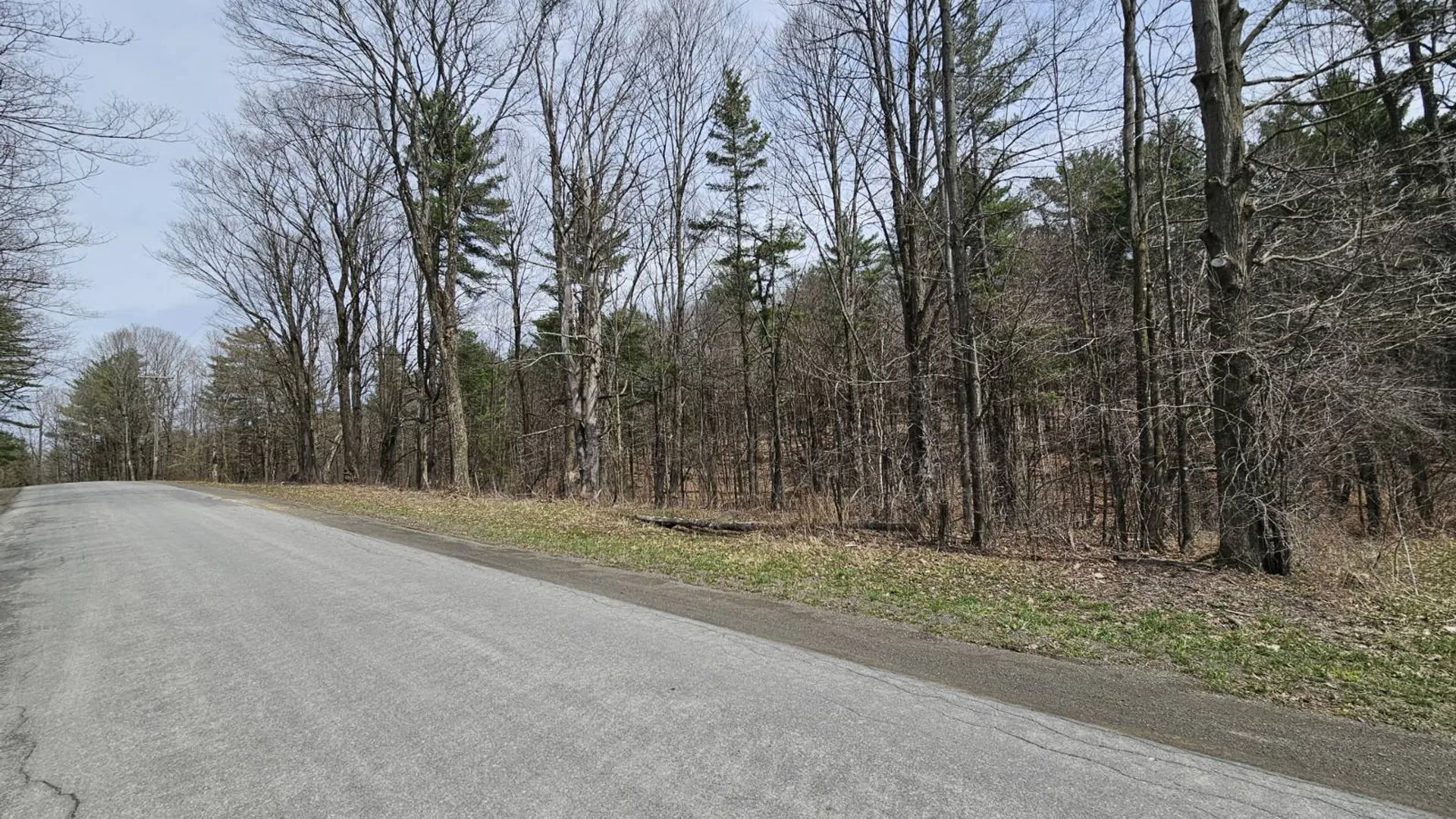 Property at 290 Griggs Rd, Springfield Center, NY 13468 40