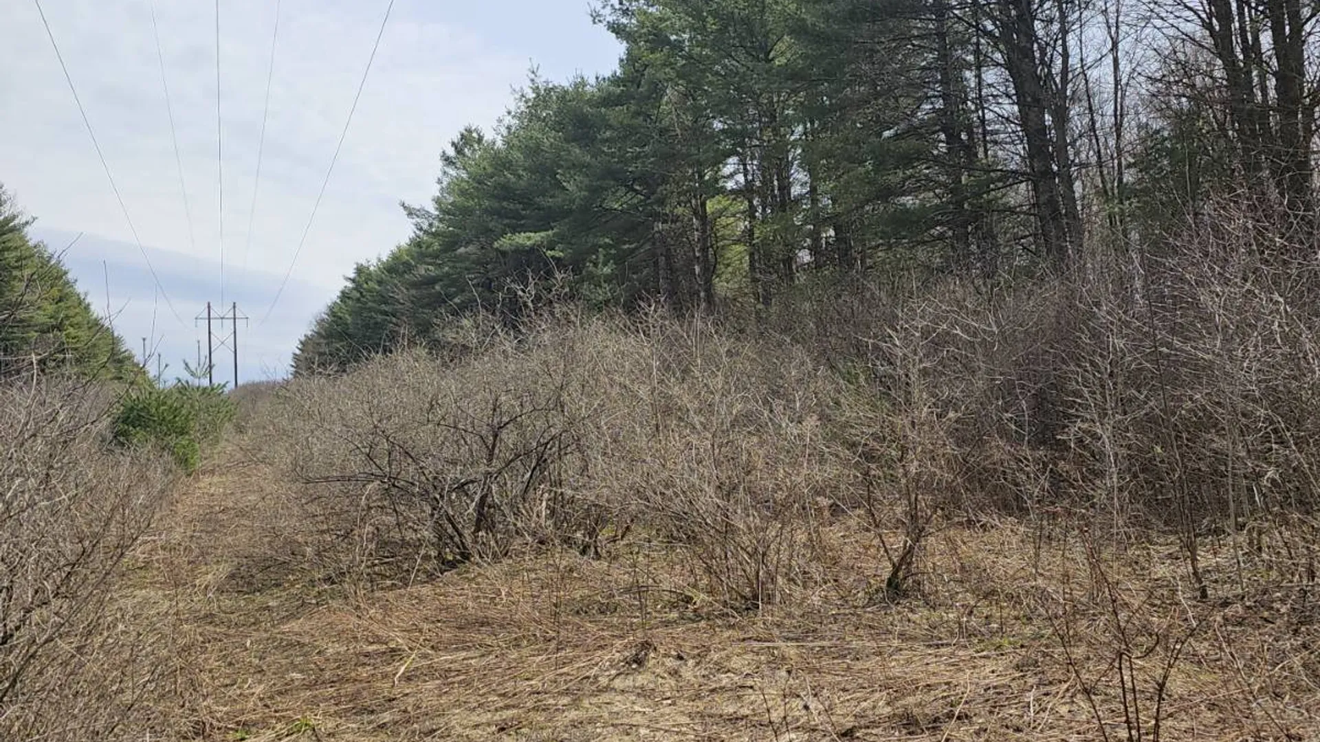 Property at 290 Griggs Rd, Springfield Center, NY 13468 44