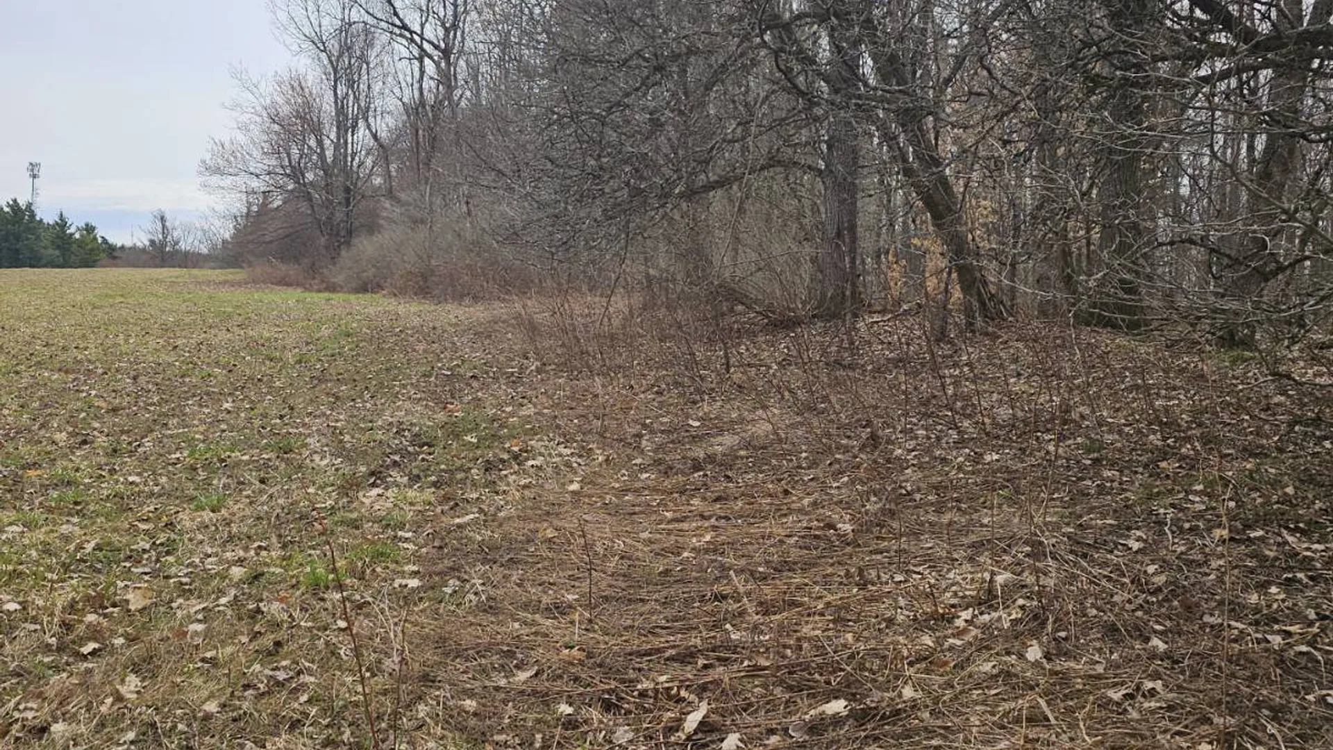 Property at 290 Griggs Rd, Springfield Center, NY 13468 60