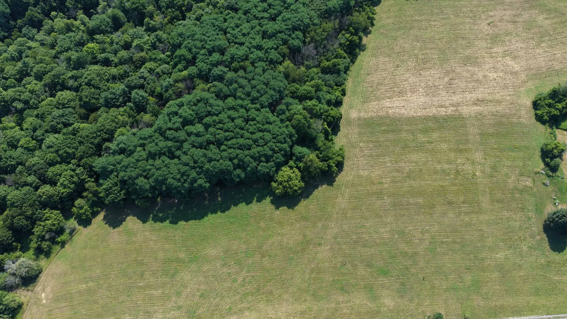 Property at L23.32 State Route 145, Cobleskill, NY 12043 5