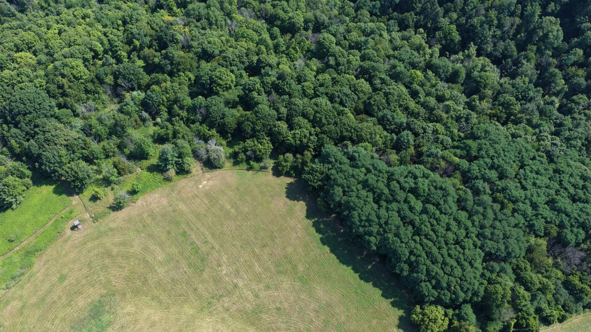 Property at L23.32 State Route 145, Cobleskill, NY 12043 6