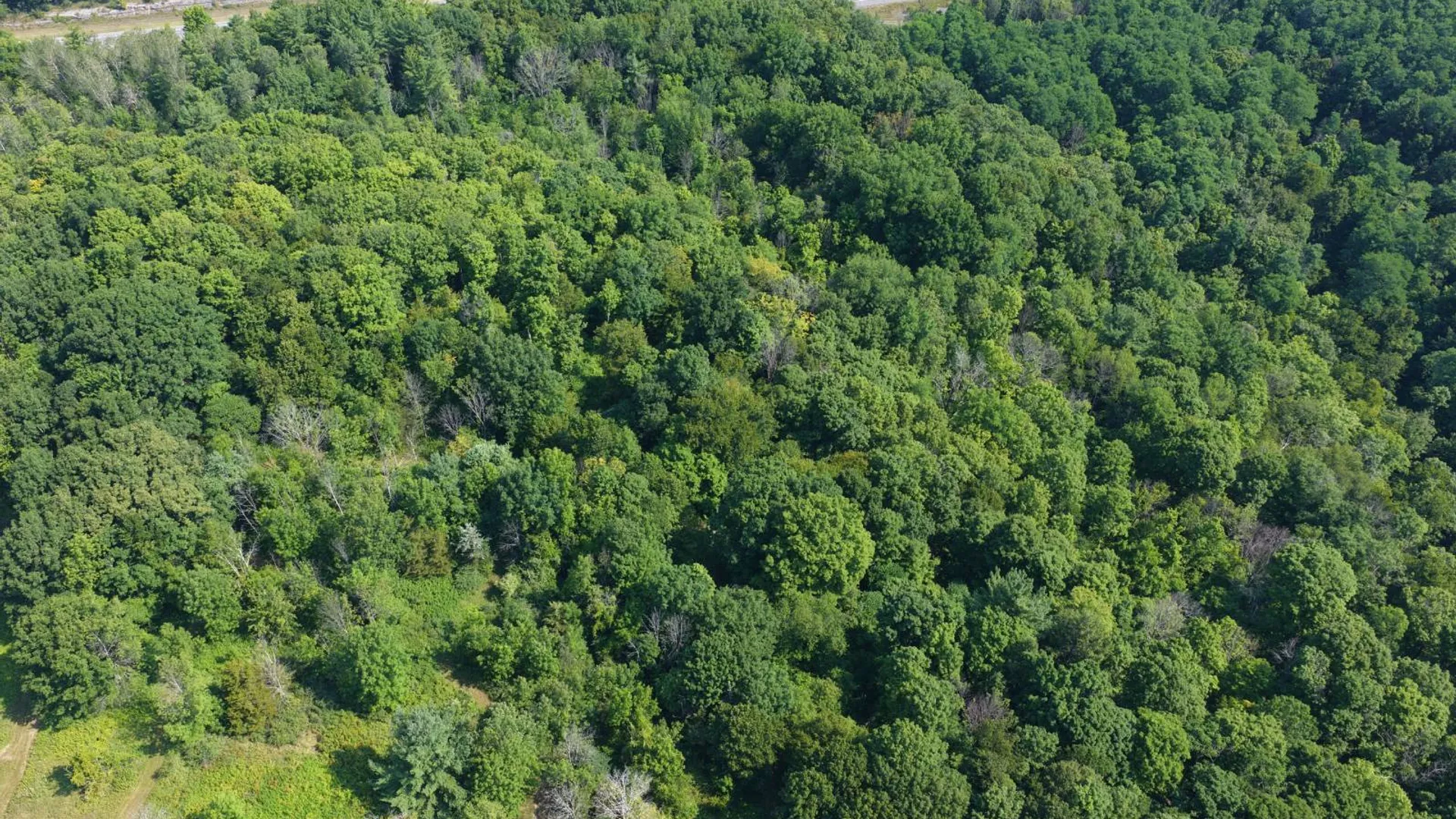 Property at L23.32 State Route 145, Cobleskill, NY 12043 7