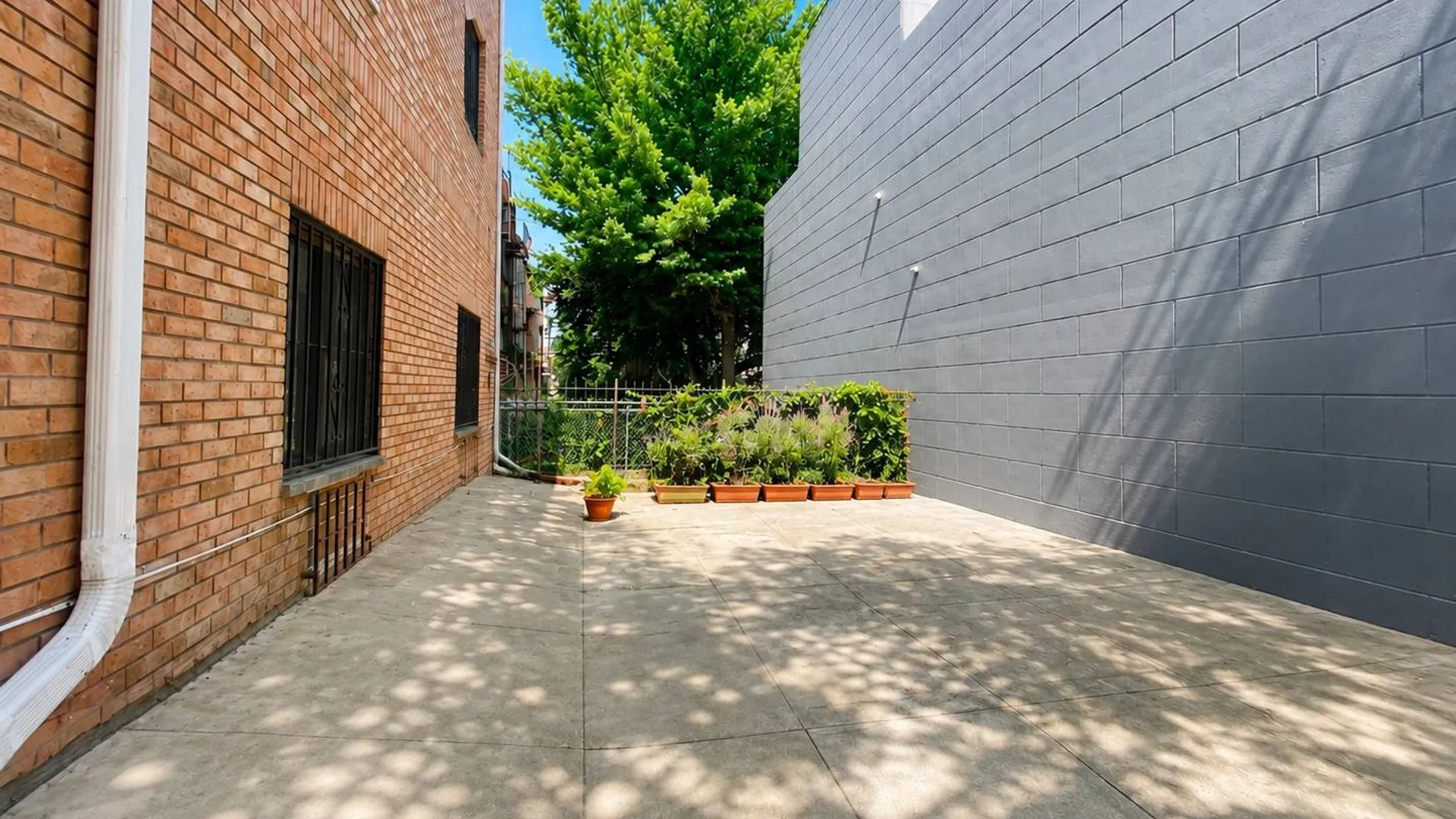 Property at 177 Moffat, Brooklyn, NY 11207 3